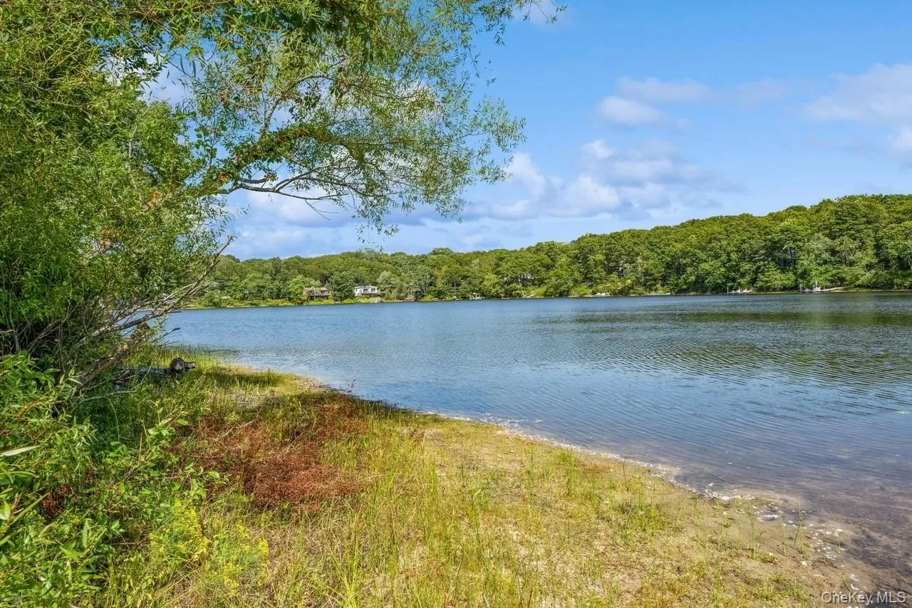 Close To Little Fresh Pond