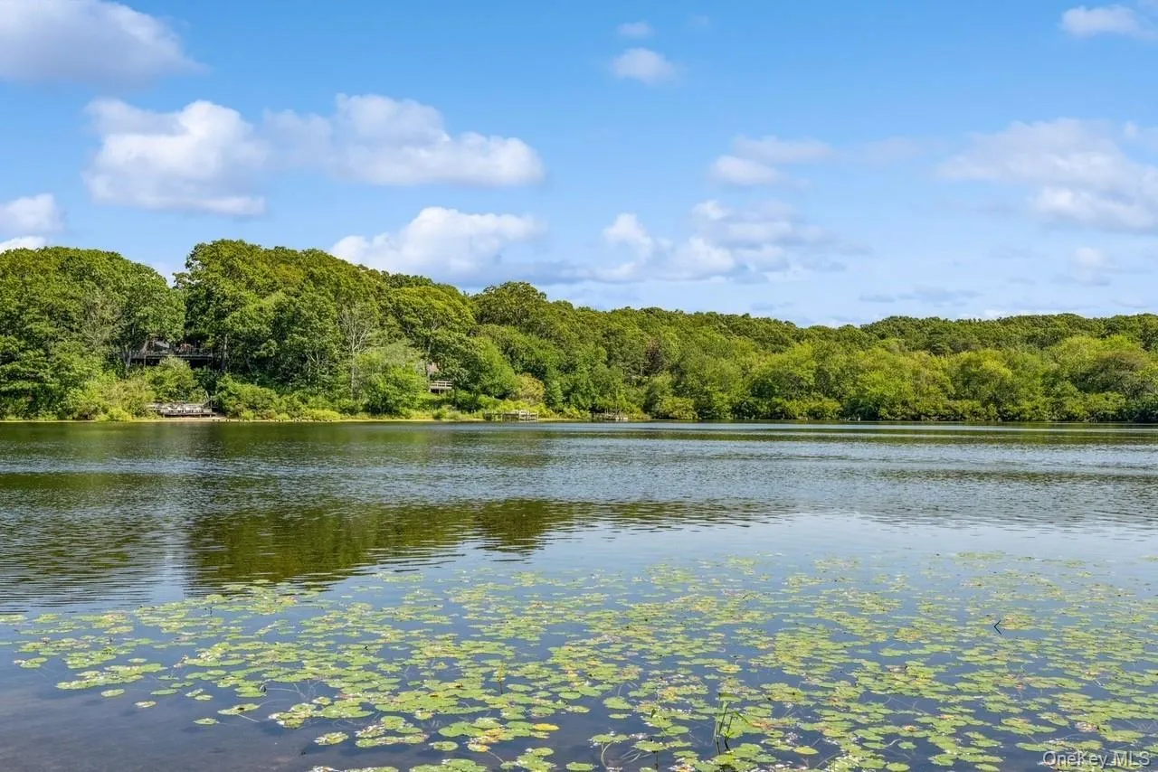 Close To Little Fresh Pond