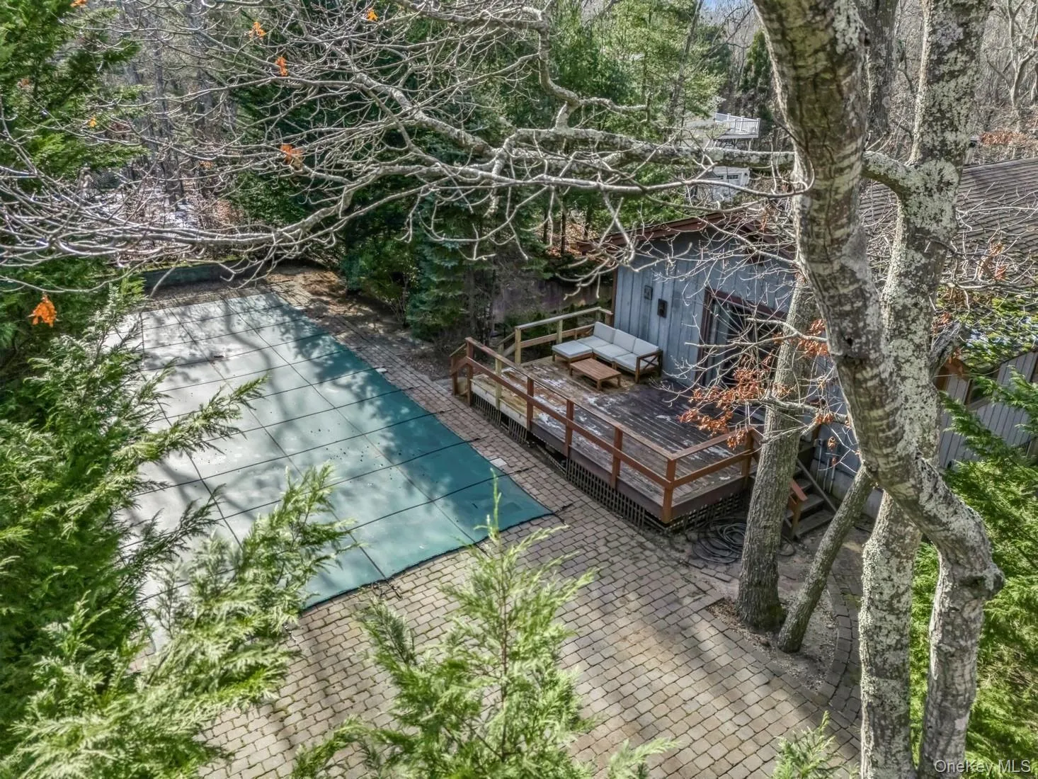 Back Deck & Large Patio
