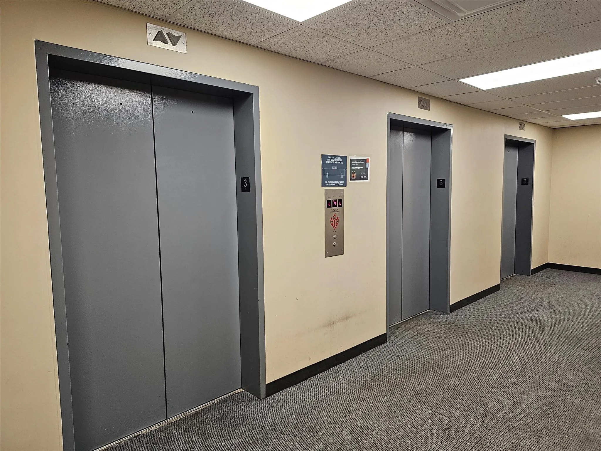 Hallway with dark carpet, elevator, and a drop ceiling Hallway with dark carpet, elevator, and a drop ceiling