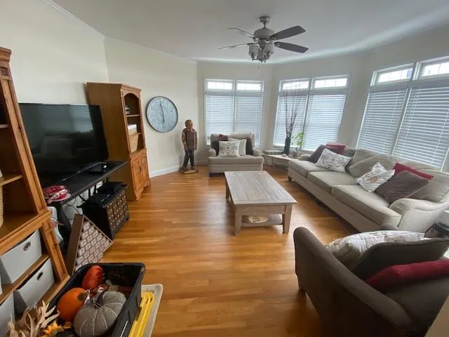 Living room with light hardwood / wood-style floors, ceiling fan, and crown molding Living room with light hardwood / wood-style floors, ceiling fan, and crown molding