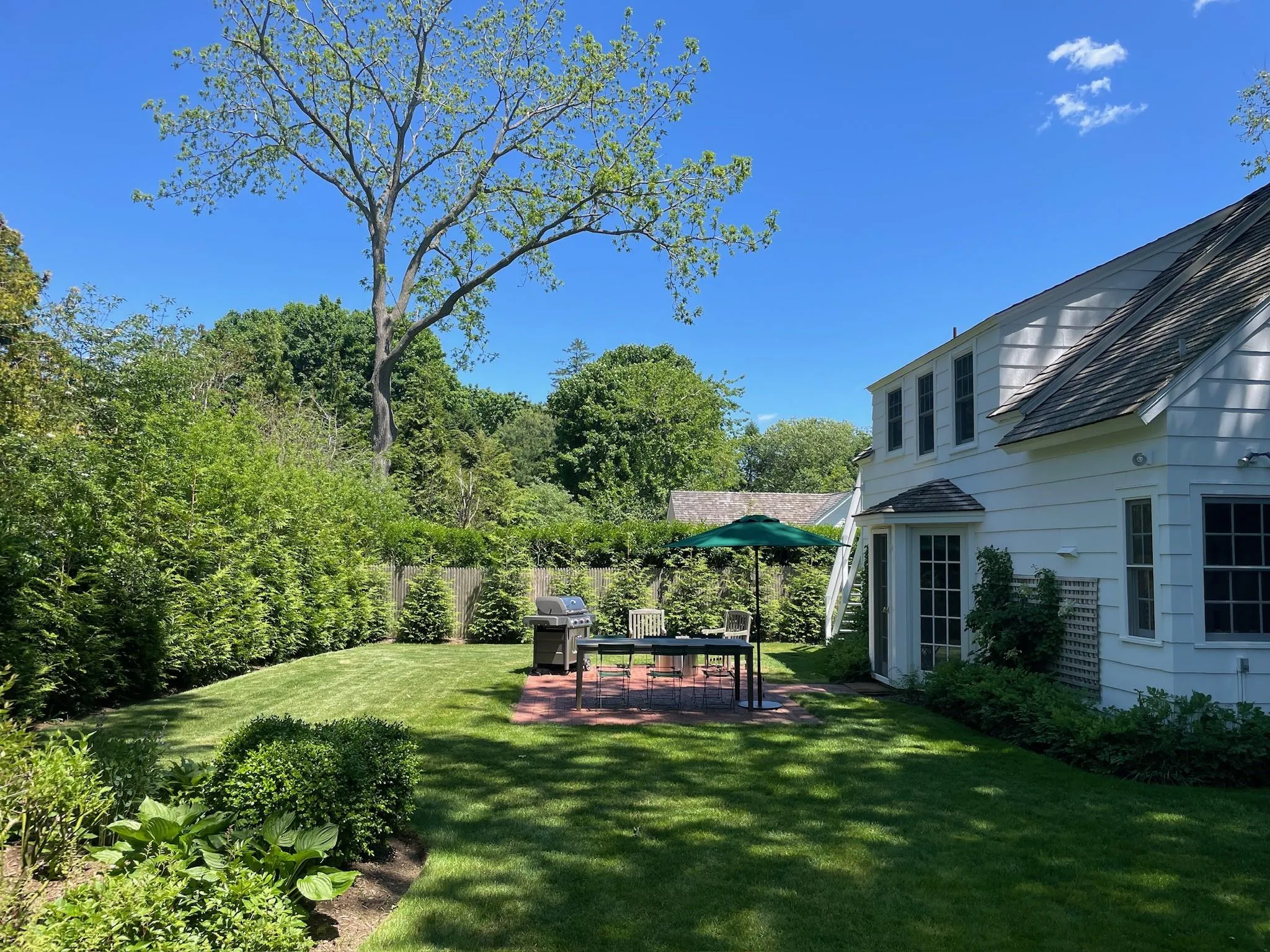 View of yard with a patio View of yard with a patio