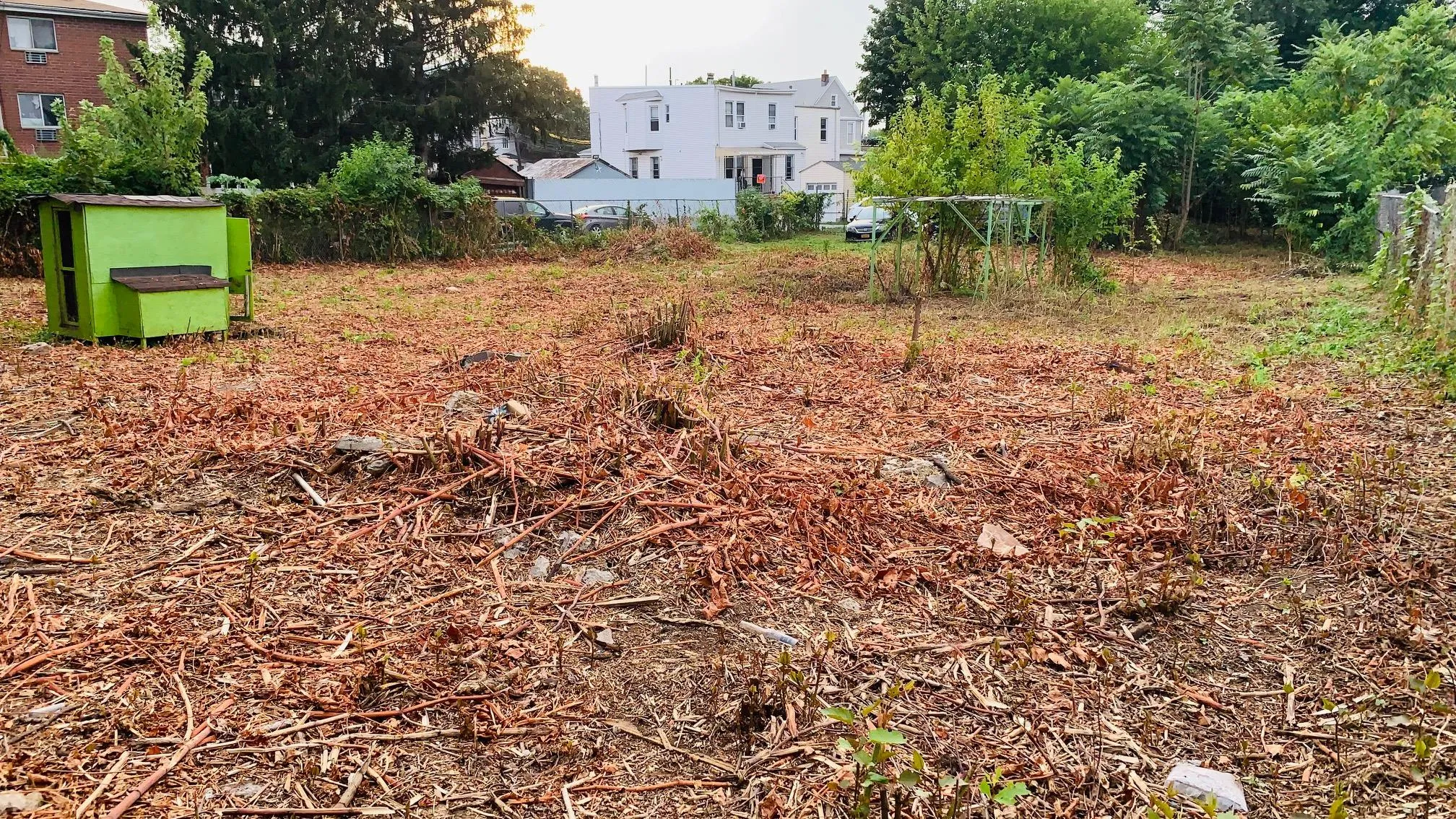 View of yard View of yard