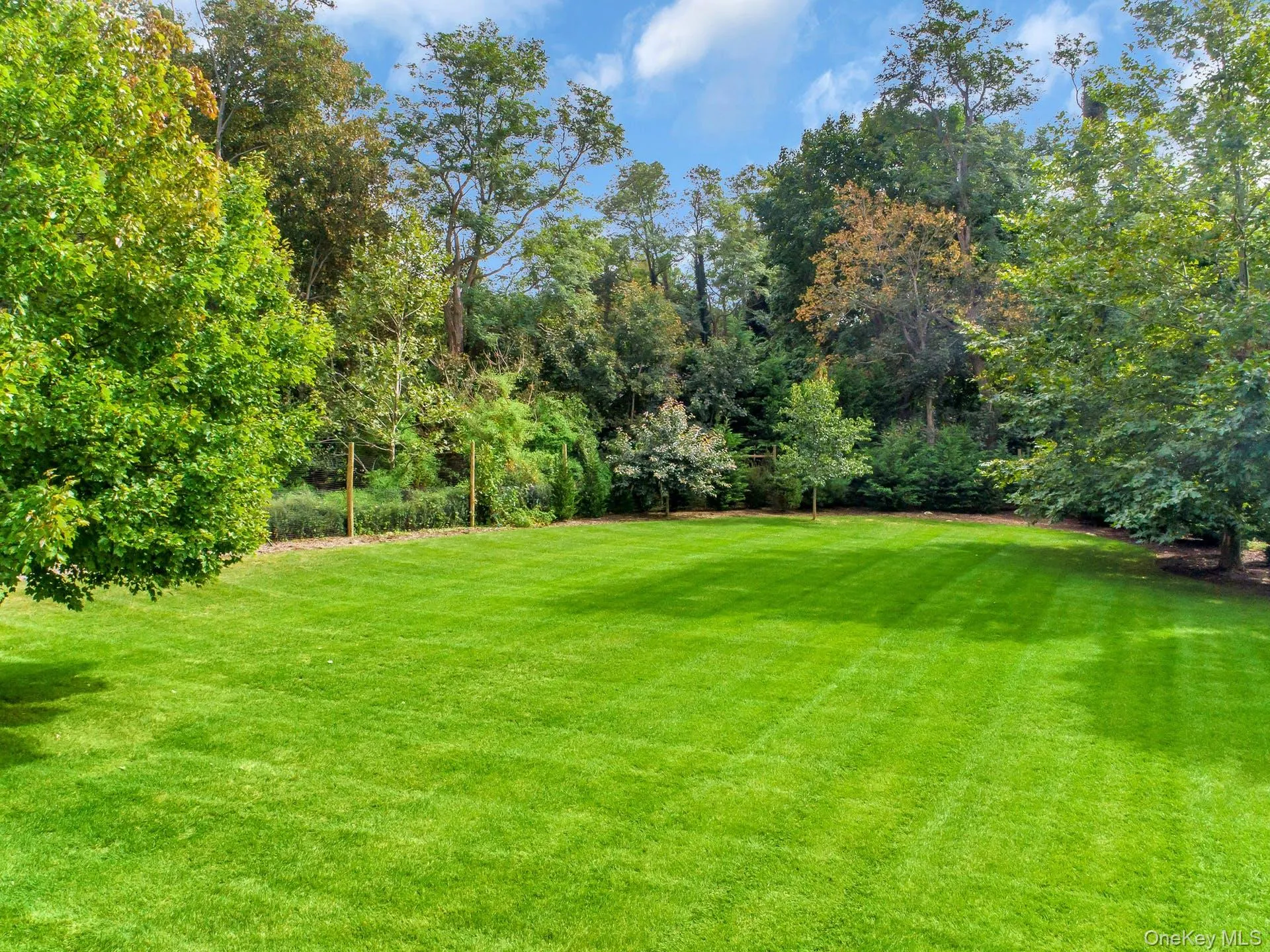 View of yard View of yard