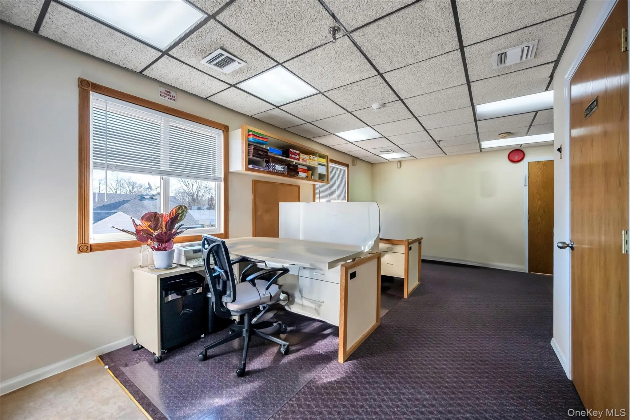 Carpeted office with a drop ceiling Carpeted office with a drop ceiling