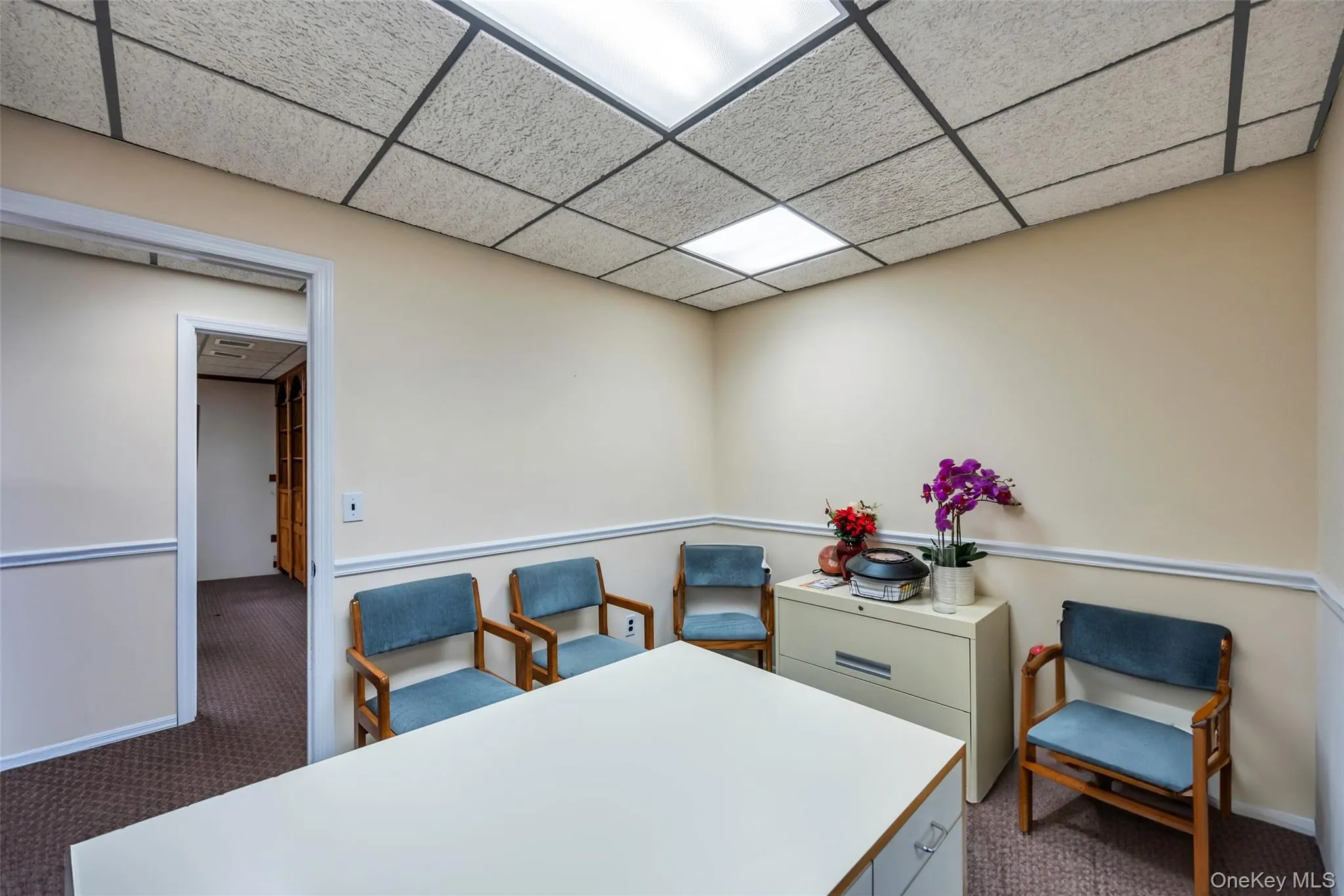 Office area featuring carpet floors and a drop ceiling Office area featuring carpet floors and a drop ceiling