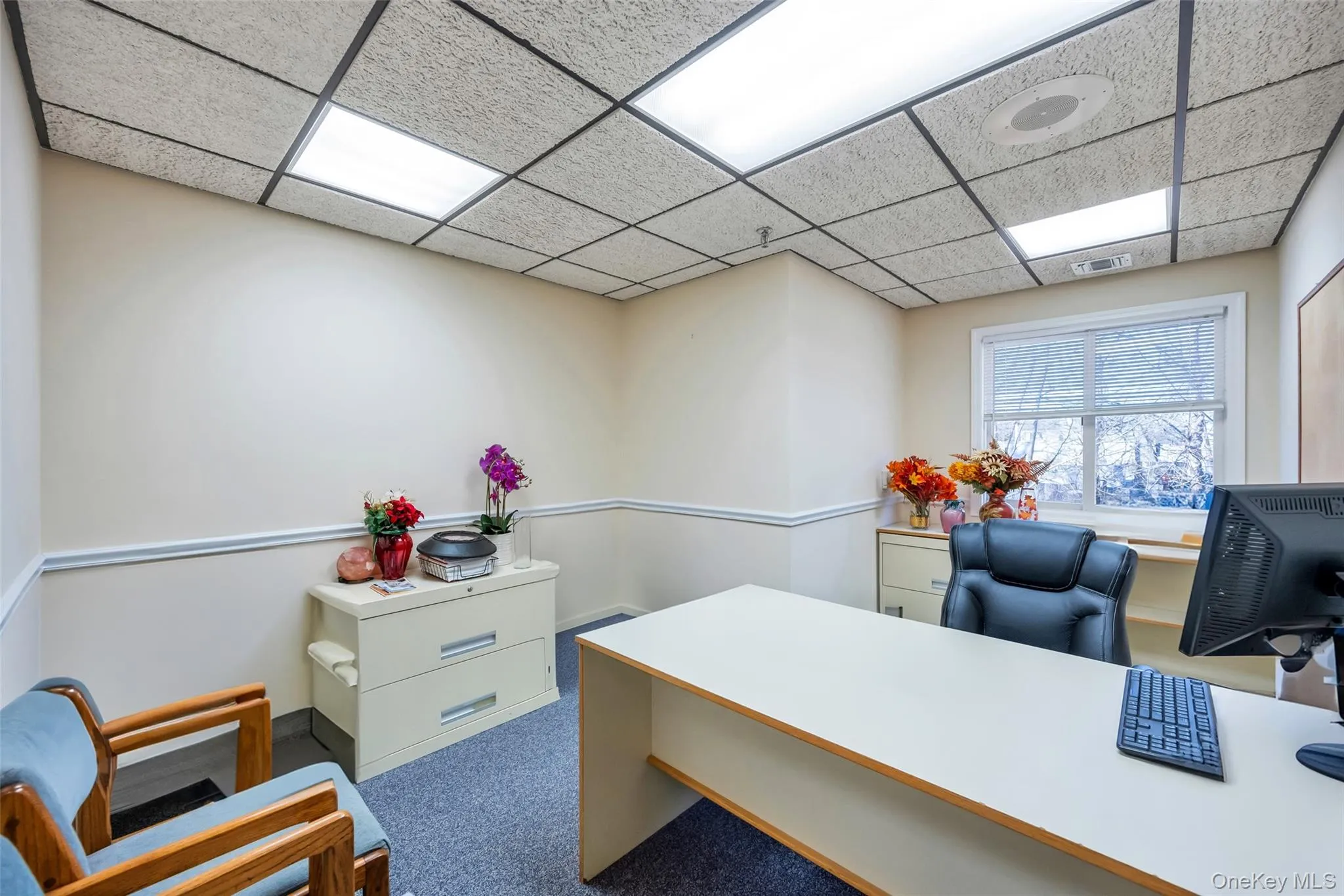 Carpeted home office featuring a paneled ceiling Carpeted home office featuring a paneled ceiling