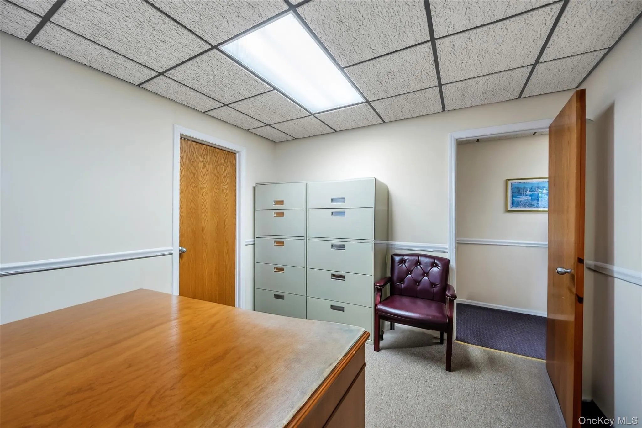 Carpeted office space featuring a paneled ceiling Carpeted office space featuring a paneled ceiling