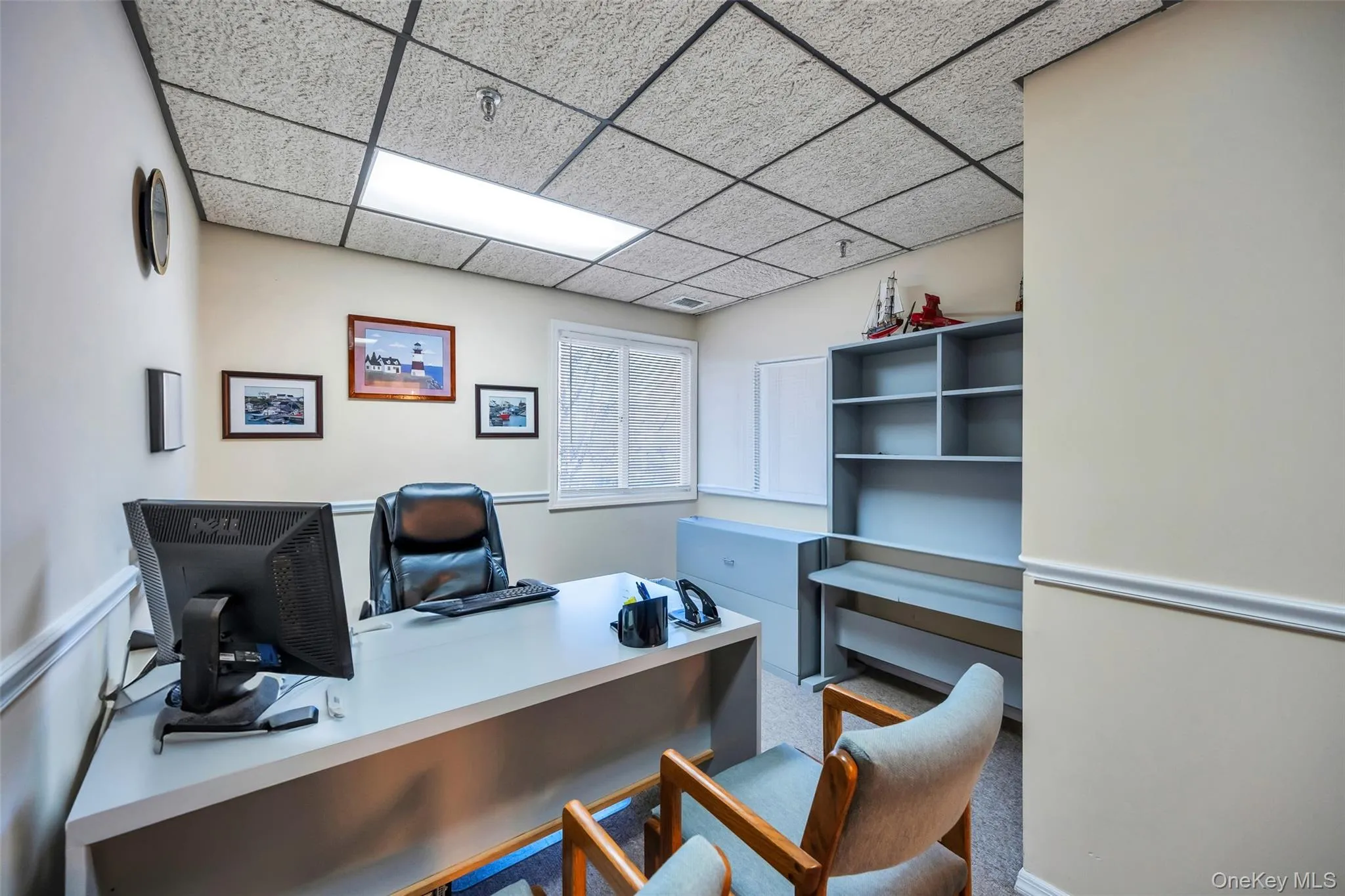 Office featuring carpet floors and a paneled ceiling Office featuring carpet floors and a paneled ceiling