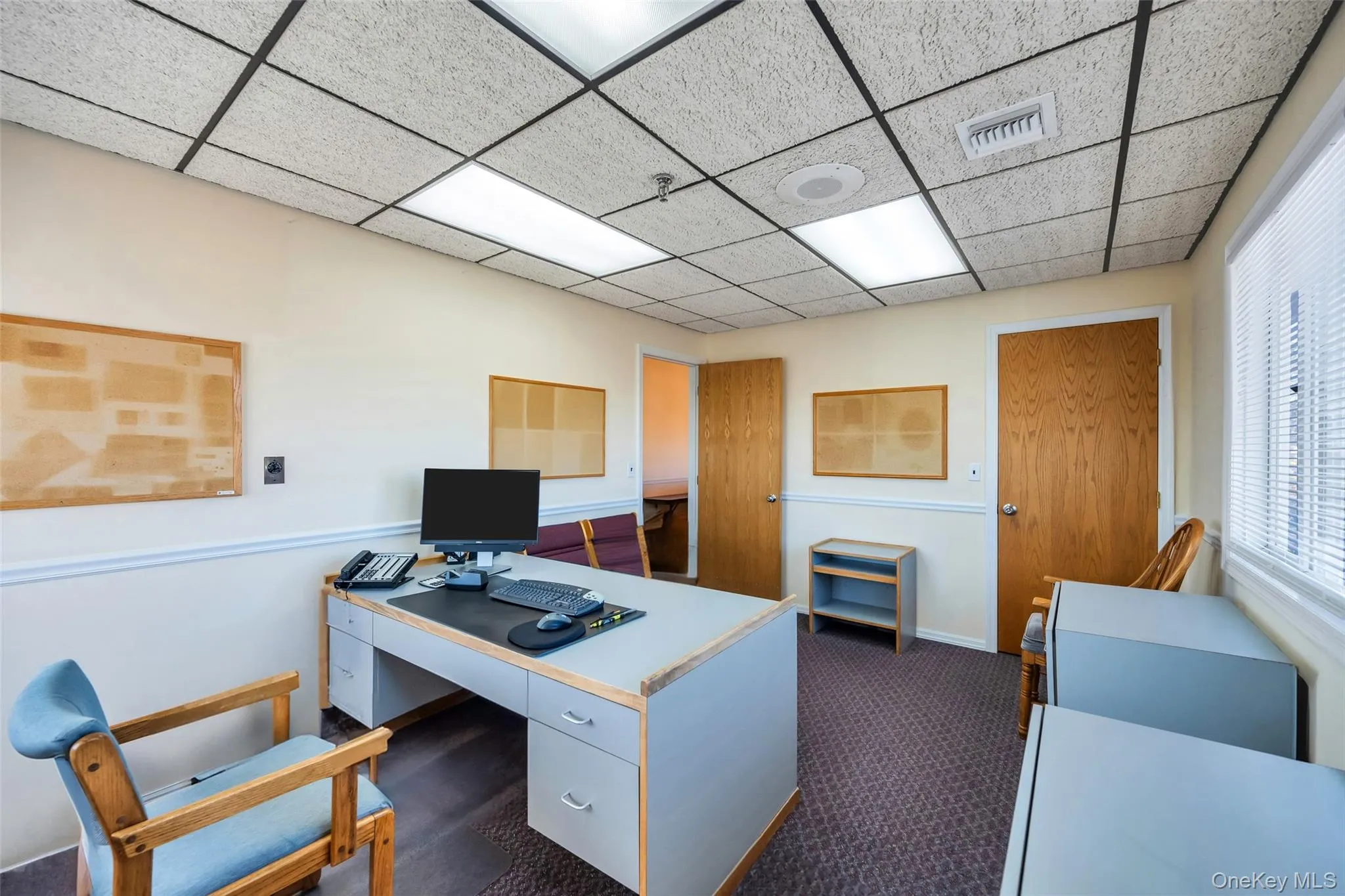 Carpeted home office with a paneled ceiling Carpeted home office with a paneled ceiling