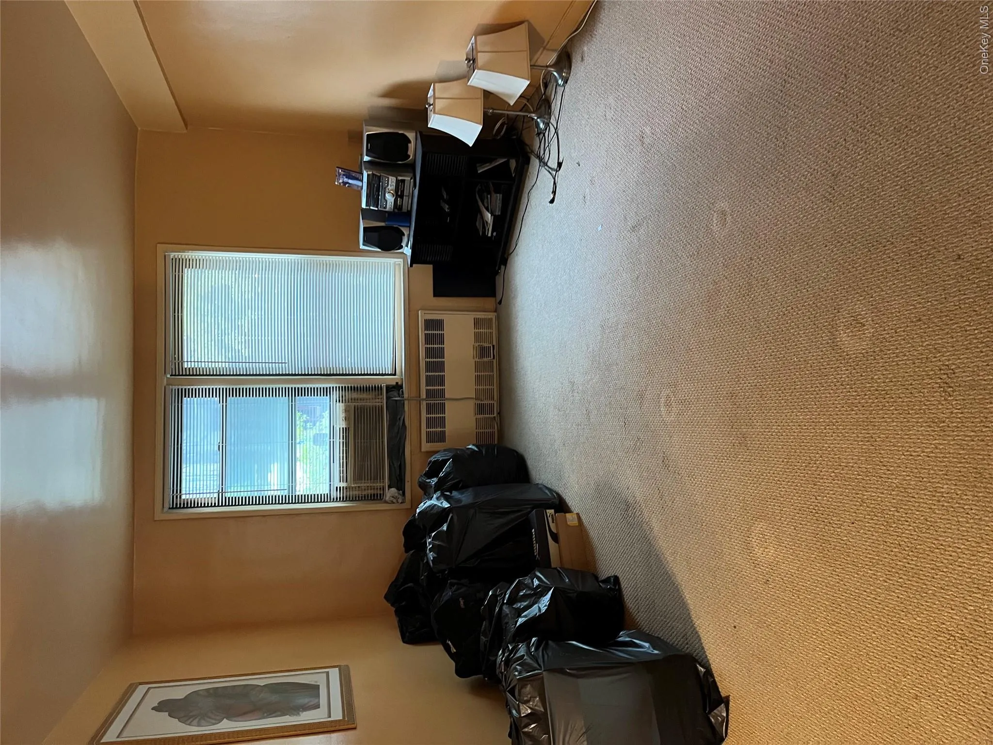 Misc room featuring radiator, carpet, and cooling unit Misc room featuring radiator, carpet, and cooling unit