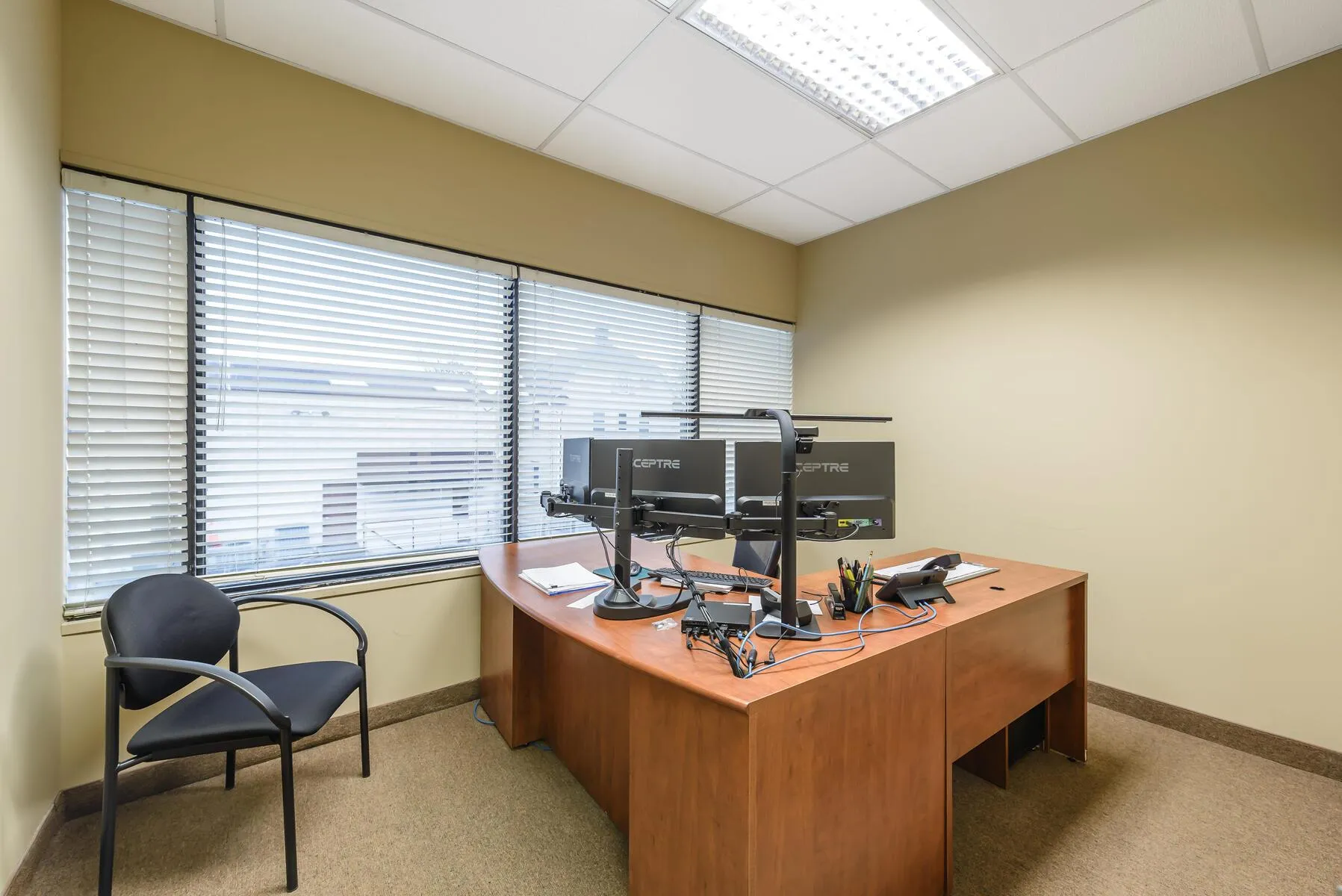 Carpeted home office featuring a paneled ceiling Carpeted home office featuring a paneled ceiling