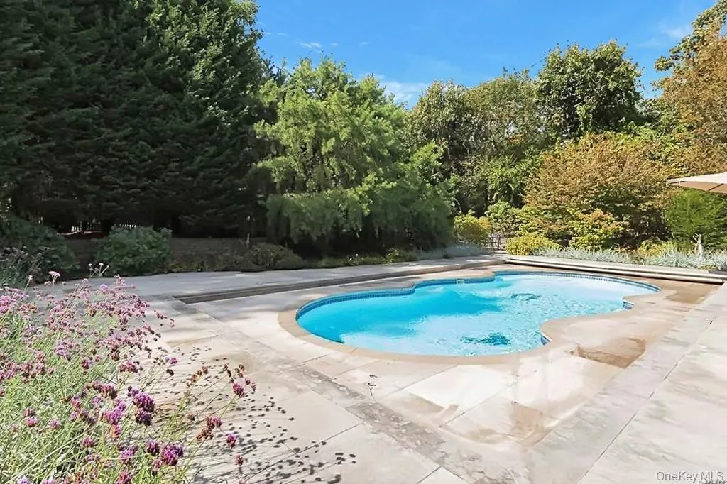 View of swimming pool with a patio View of swimming pool with a patio