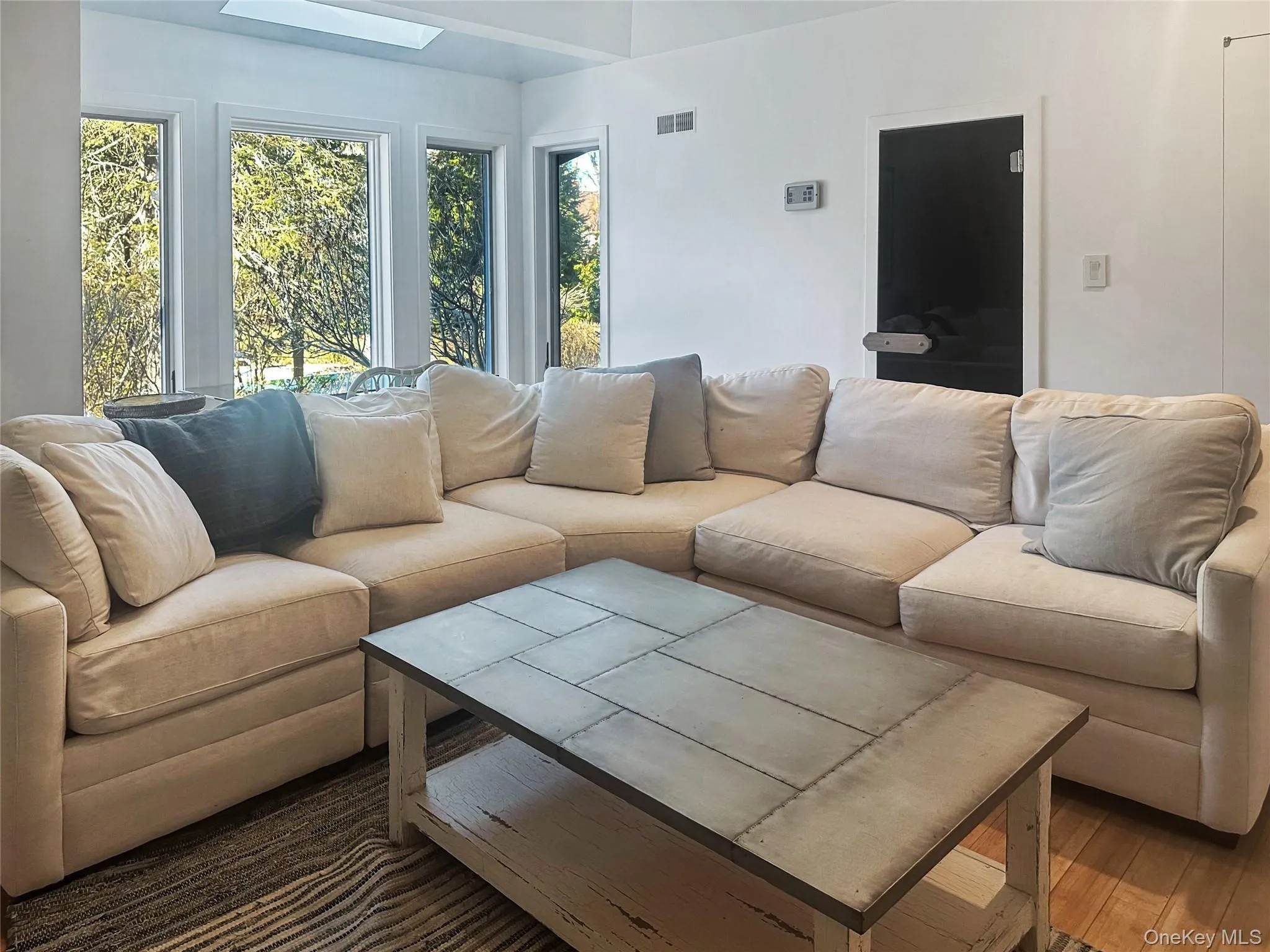 Living room featuring wood-type flooring and a skylight Living room featuring wood-type flooring and a skylight