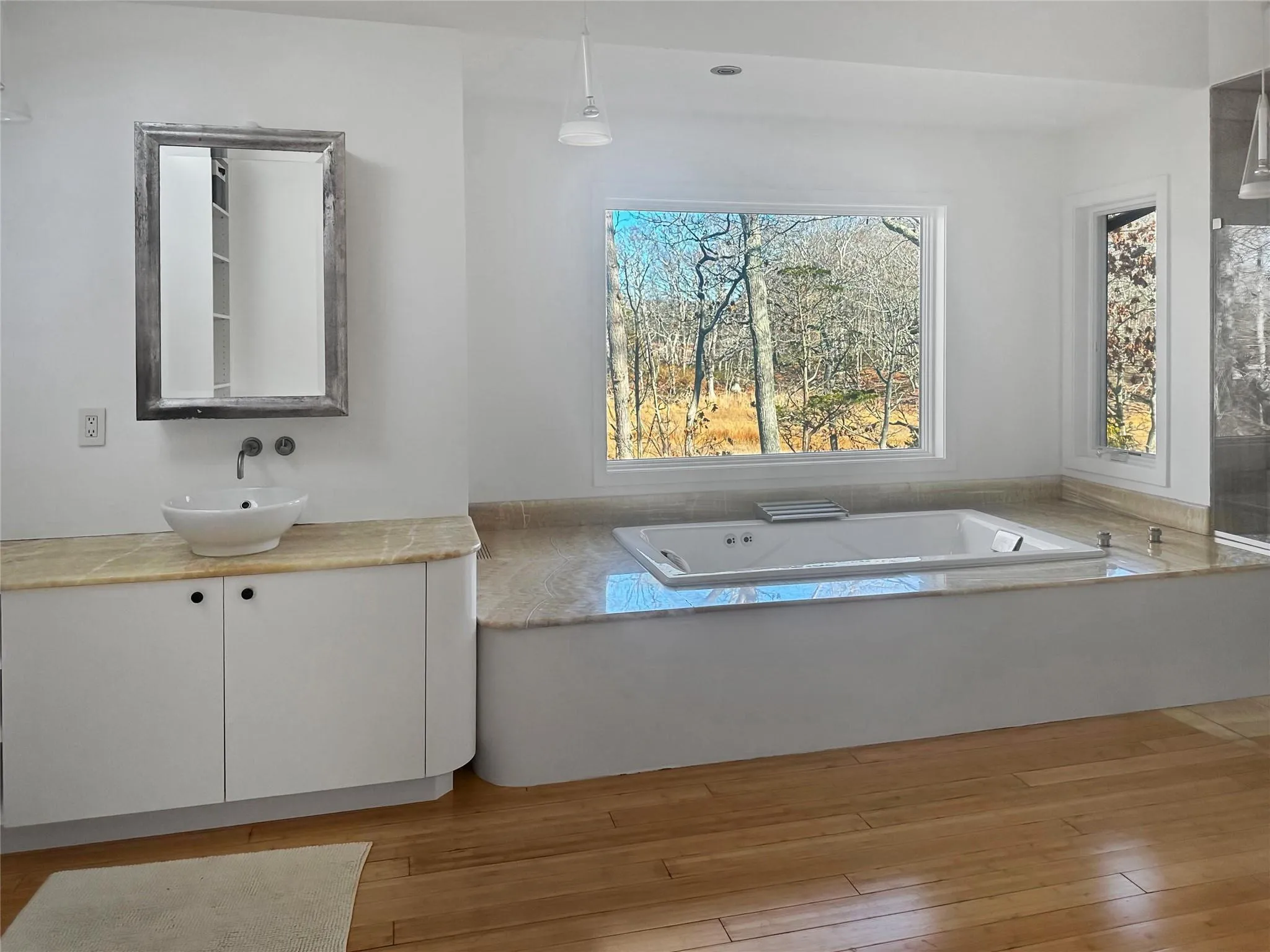 Bathroom featuring vanity, wood-type flooring, and a tub Bathroom featuring vanity, wood-type flooring, and a tub