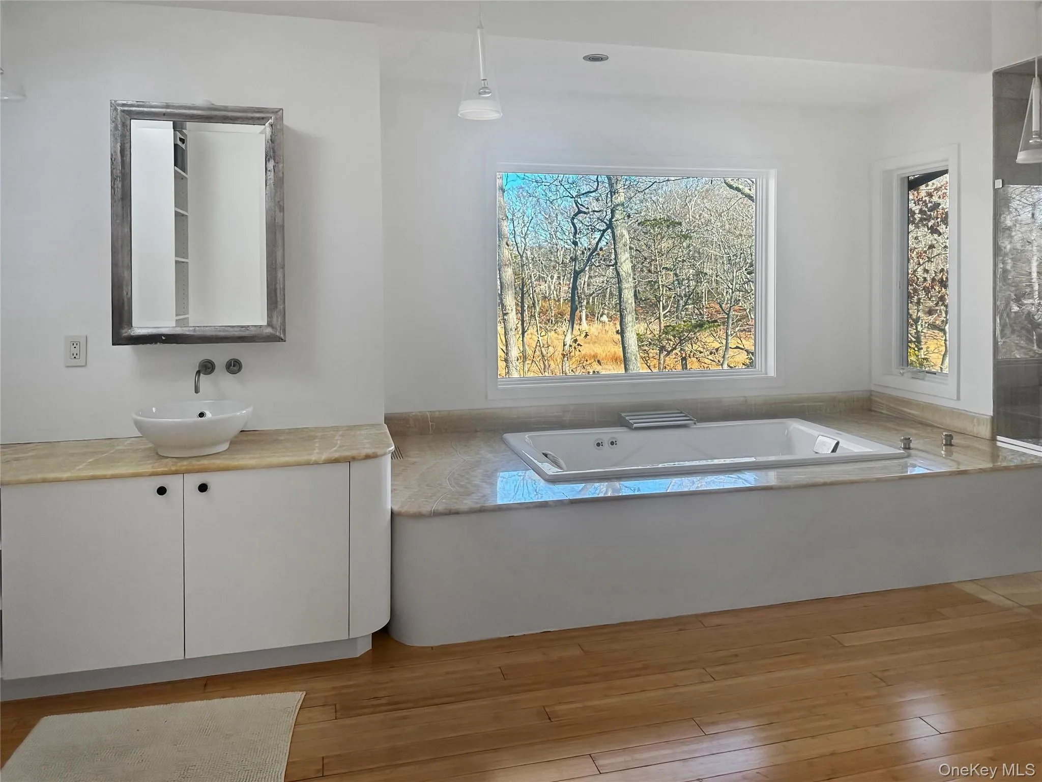 Bathroom featuring vanity, wood-type flooring, and a tub Bathroom featuring vanity, wood-type flooring, and a tub
