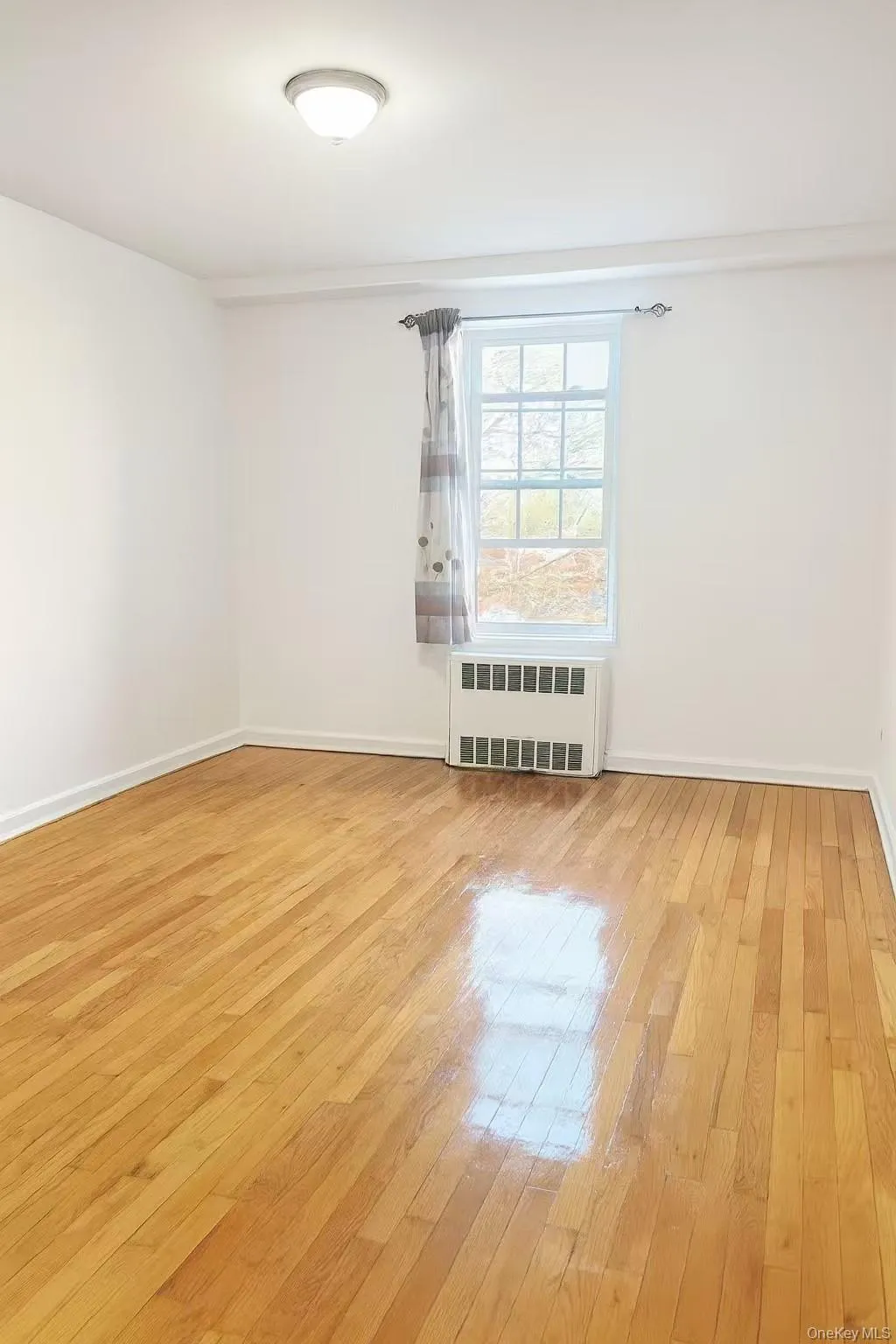 Empty room with radiator heating unit and light wood-style floors Empty room with radiator heating unit and light wood-style floors