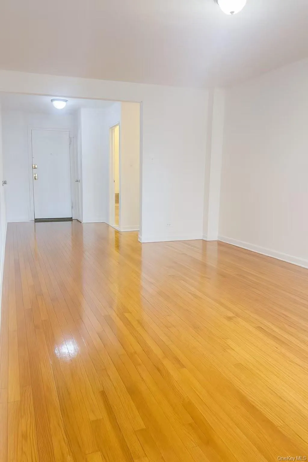 Empty room featuring light wood-style flooring and baseboards Empty room featuring light wood-style flooring and baseboards
