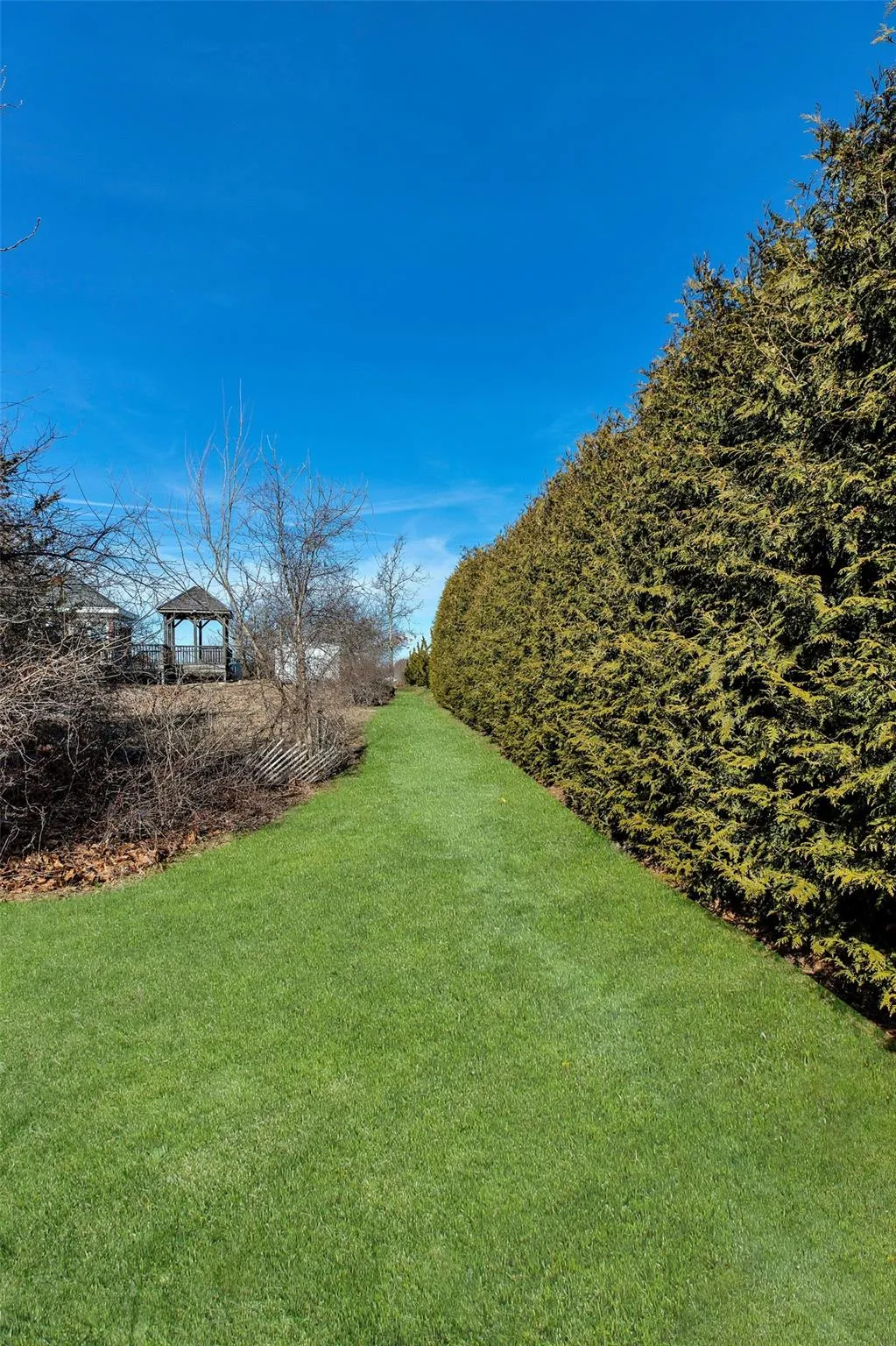 View of yard View of yard