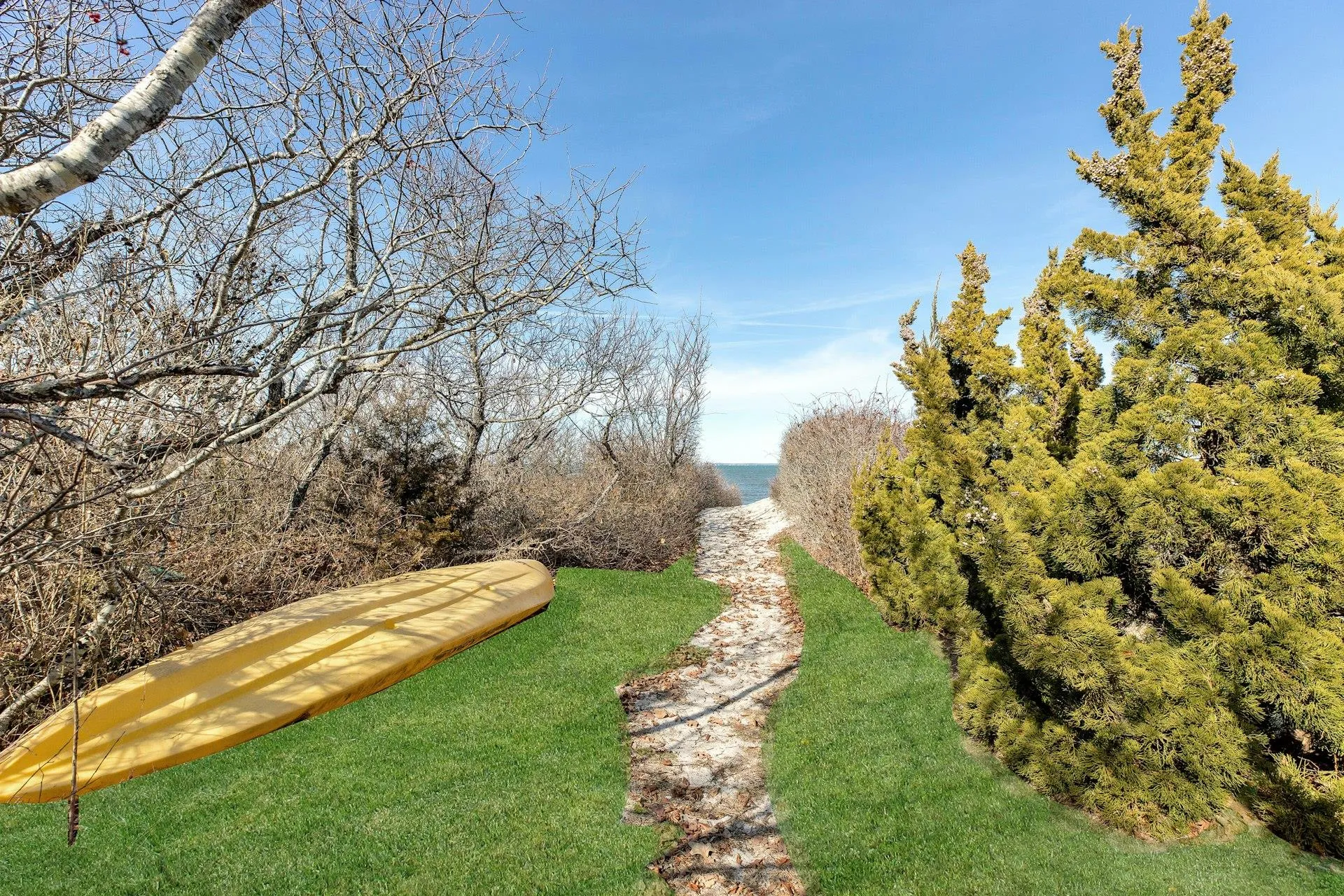 View of yard View of yard