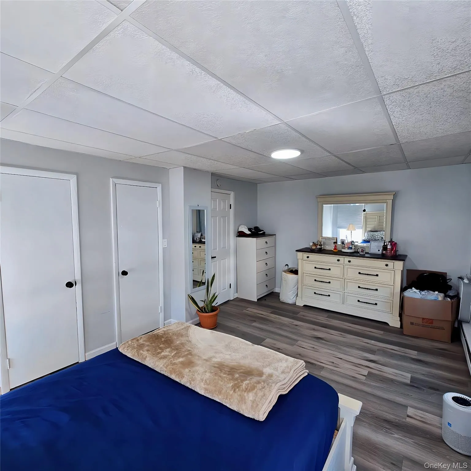 Bedroom featuring a paneled ceiling and wood finished floors Bedroom featuring a paneled ceiling and wood finished floors