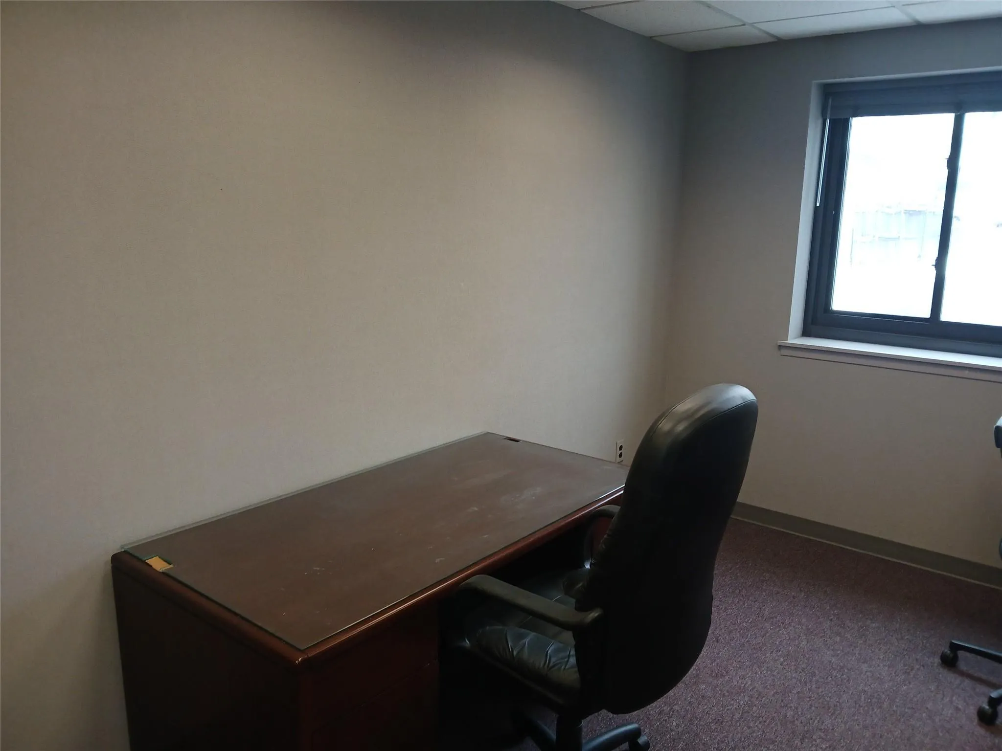Unfurnished office with a paneled ceiling and carpet Unfurnished office with a paneled ceiling and carpet