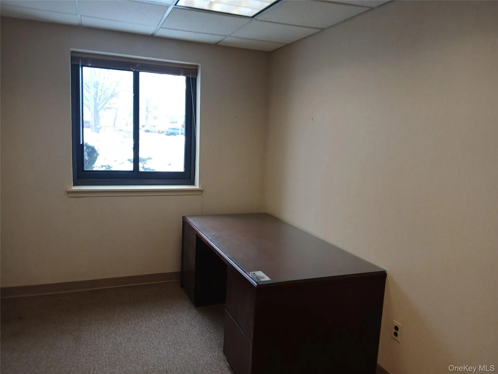 Carpeted office featuring a drop ceiling Carpeted office featuring a drop ceiling