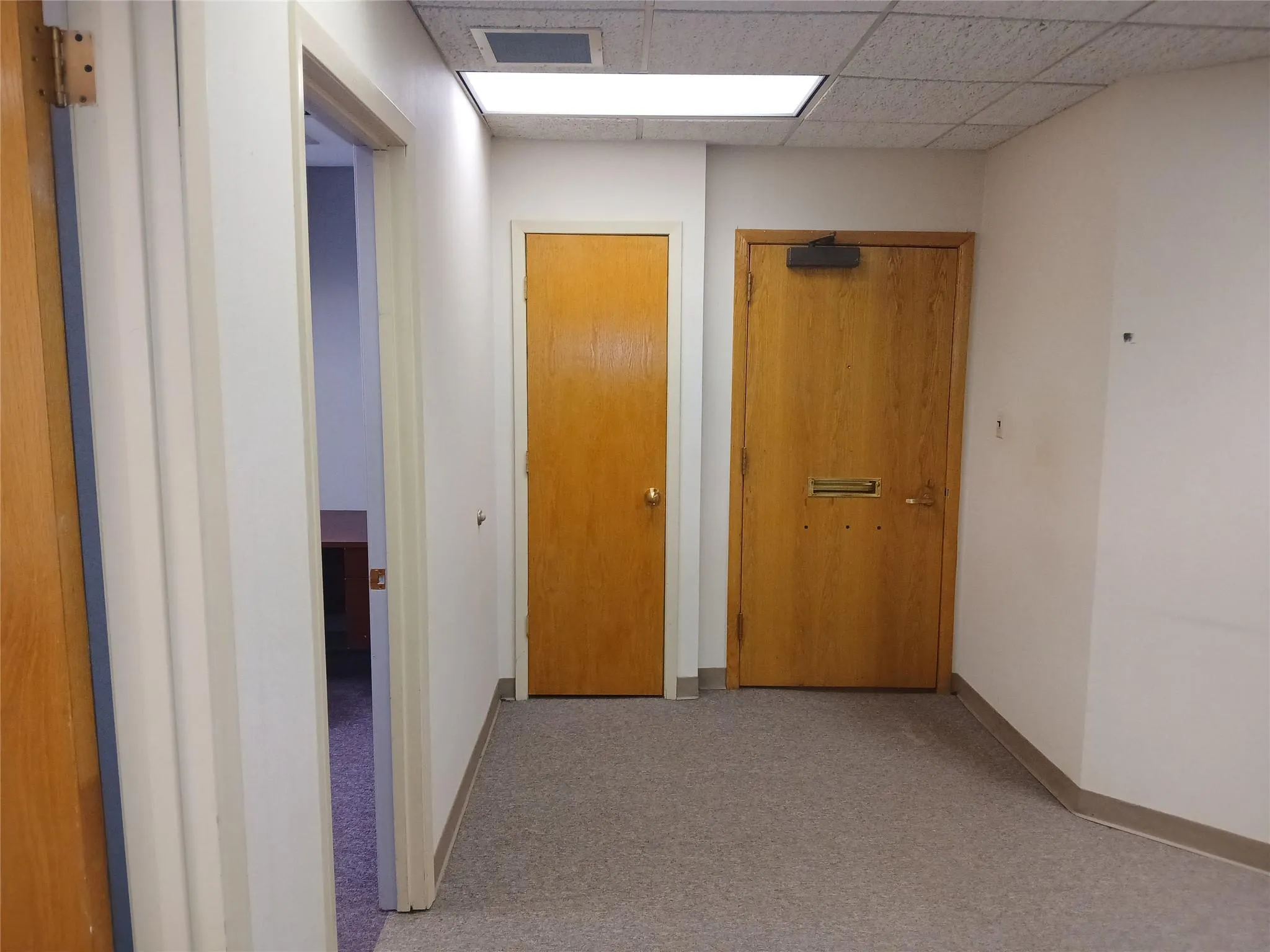 Hallway with light colored carpet and a drop ceiling Hallway with light colored carpet and a drop ceiling