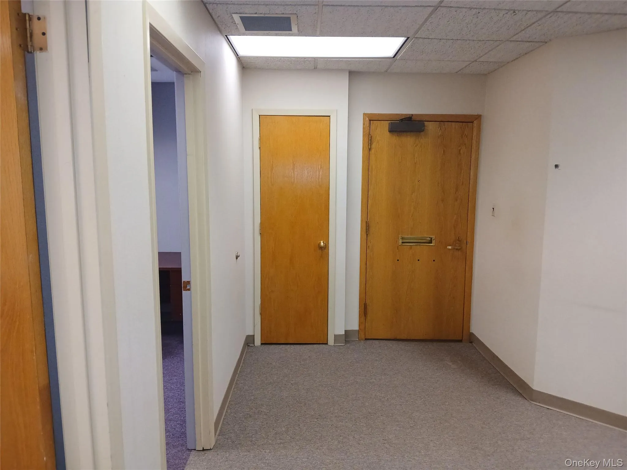 Hallway with light colored carpet and a drop ceiling Hallway with light colored carpet and a drop ceiling