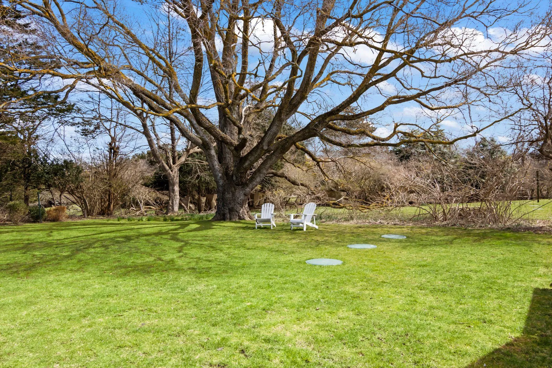 View of yard View of yard