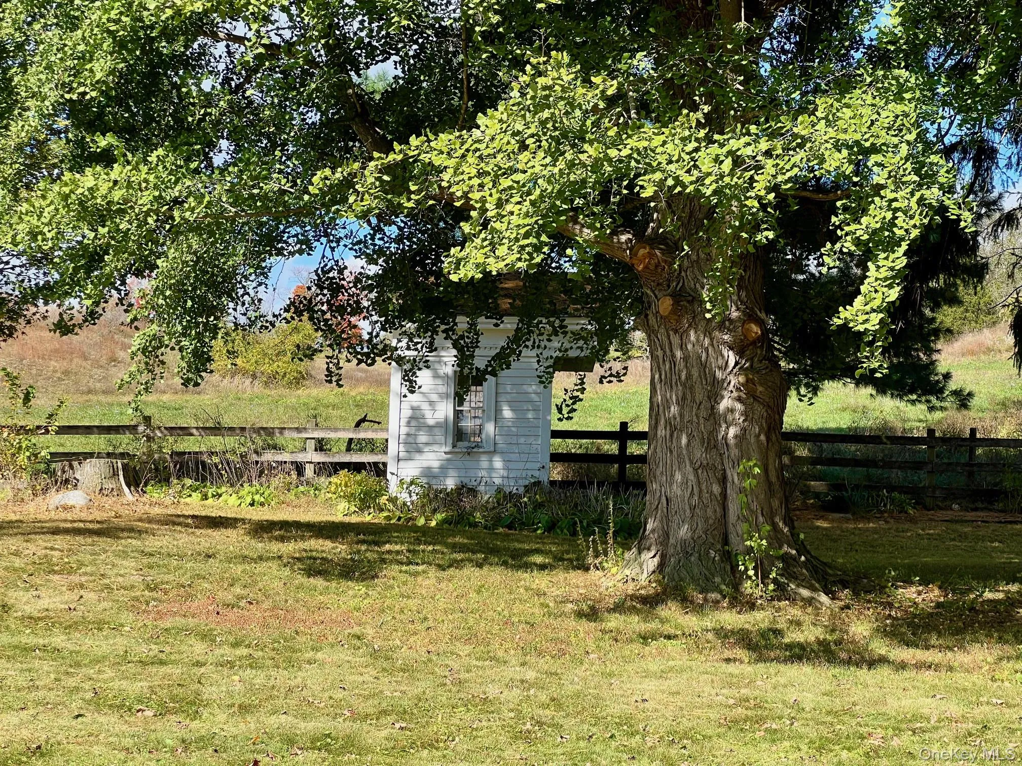 79 Camby Road, Washington, NY, 4 Bedrooms Bedrooms, 14 Rooms Rooms,3 BathroomsBathrooms,Residential Lease,Idx,Camby,0,822332 79 Camby Road, Washington, NY, 4 Bedrooms Bedrooms, 14 Rooms Rooms,3 BathroomsBathrooms,Residential Lease,Idx,Camby,0,822332