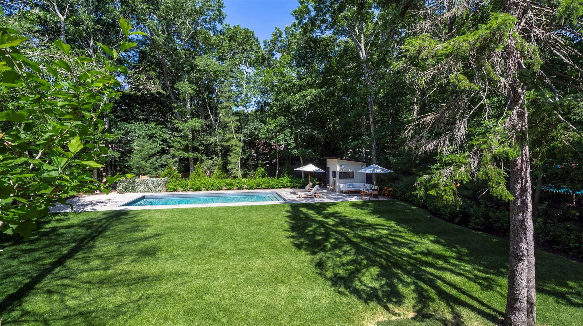 View of yard with a patio area View of yard with a patio area