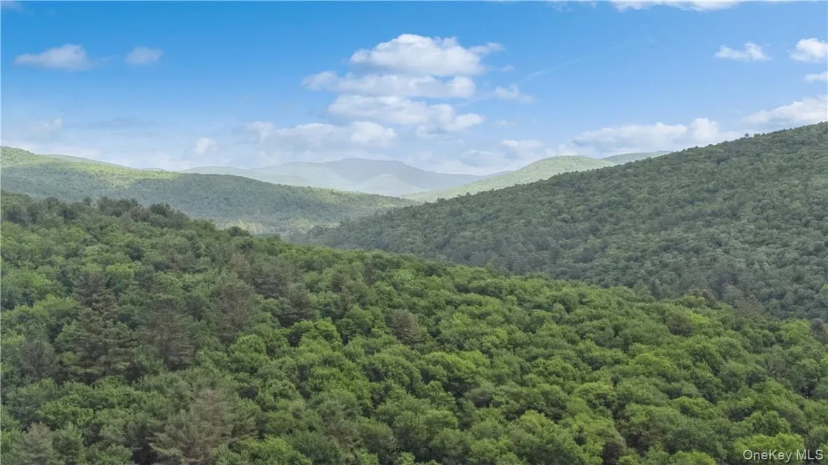View of property view of mountains View of property view of mountains