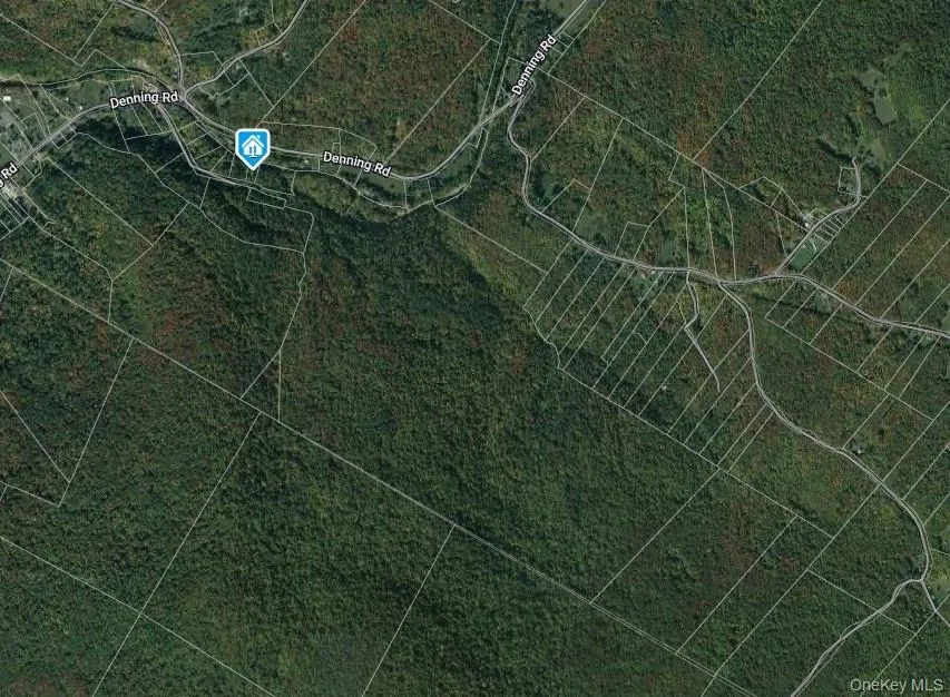 Satellite Image Satellite Image
