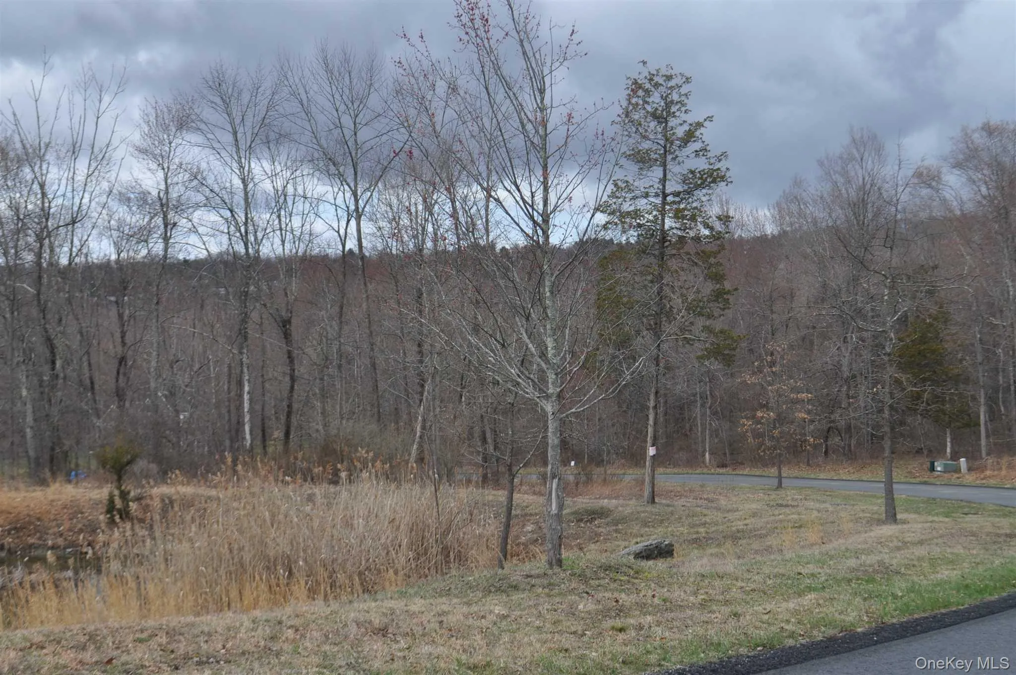 Stonecrest Lot #18 Court, Beekman, NY, ,Land,For Rent,Stonecrest Lot #18,0,823899 Stonecrest Lot #18 Court, Beekman, NY, ,Land,For Rent,Stonecrest Lot #18,0,823899