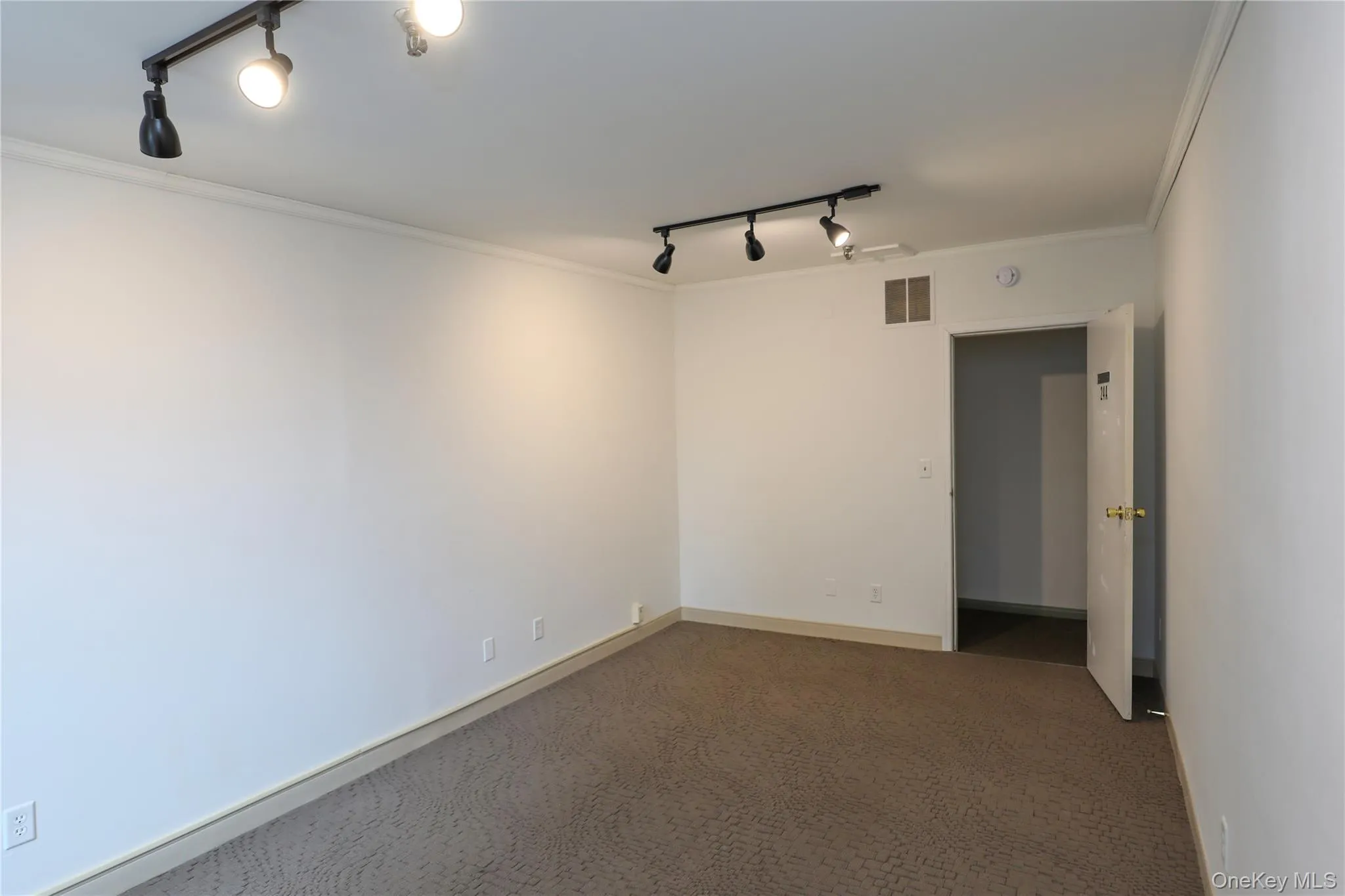 Unfurnished room featuring track lighting, crown molding, and carpet floors Unfurnished room featuring track lighting, crown molding, and carpet floors