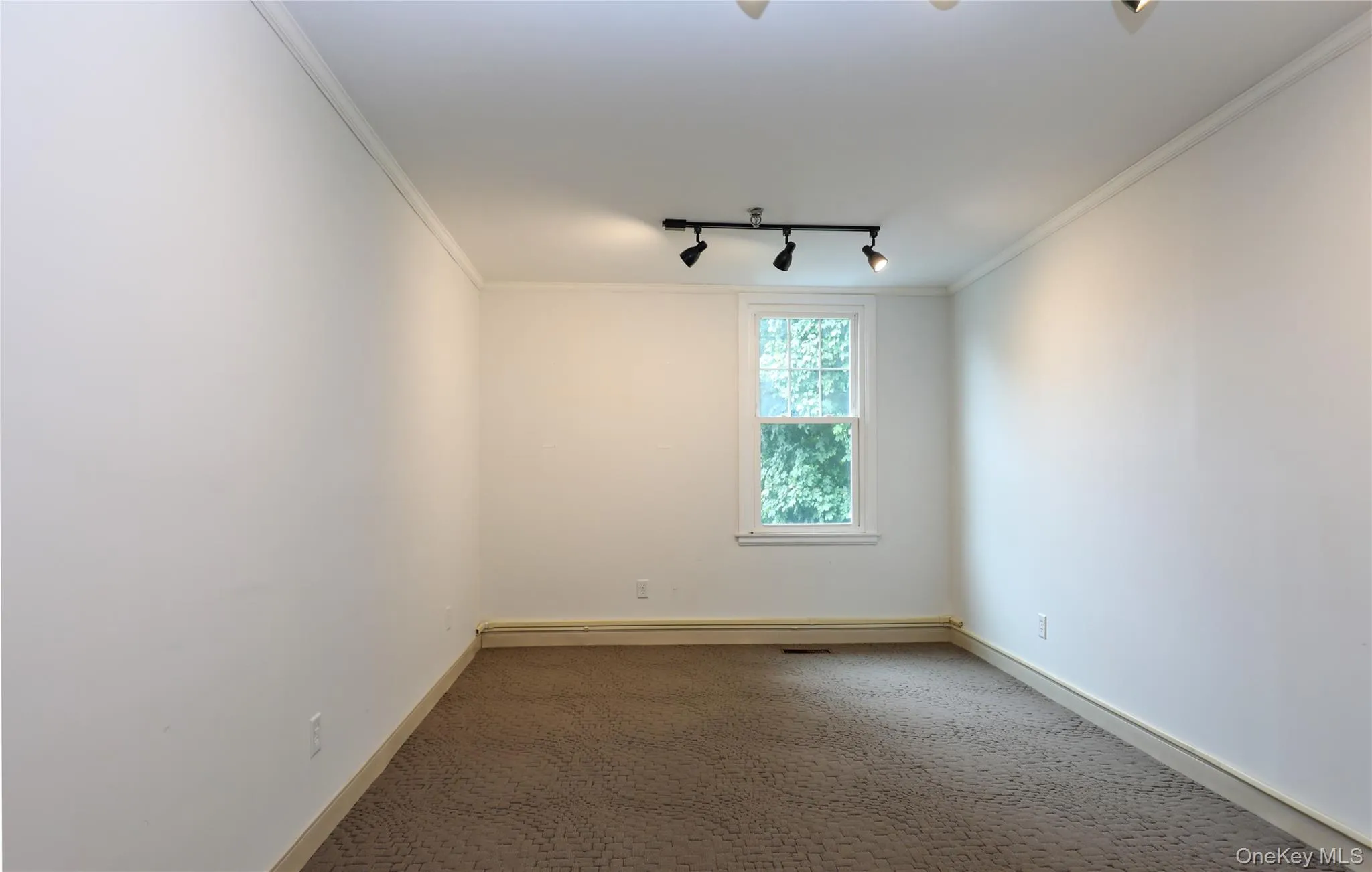 Carpeted spare room with rail lighting and ornamental molding Carpeted spare room with rail lighting and ornamental molding