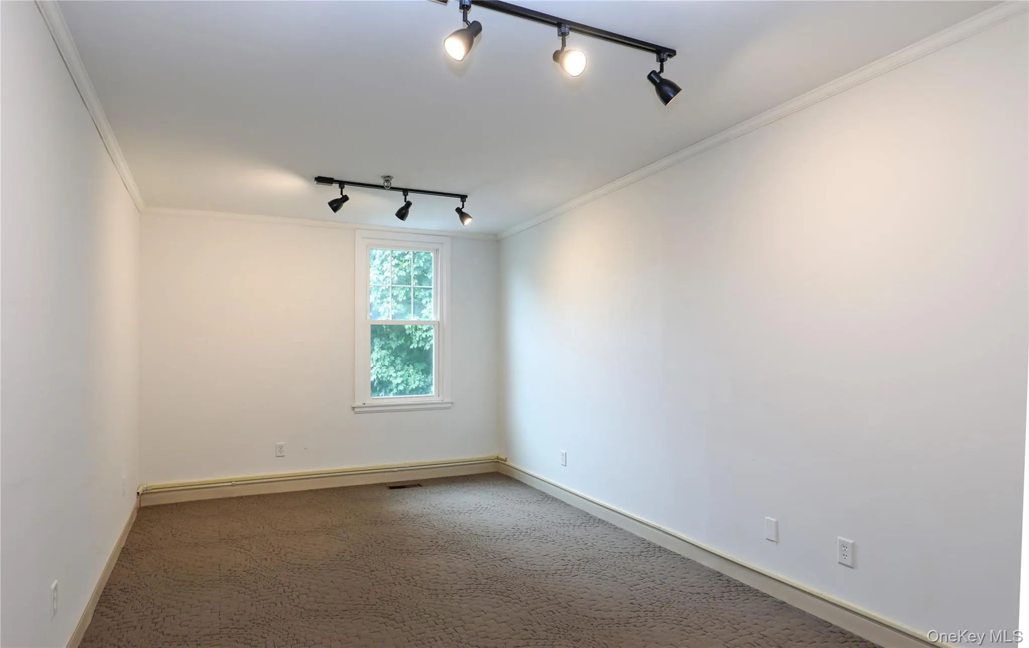 Unfurnished room with track lighting, crown molding, and carpet Unfurnished room with track lighting, crown molding, and carpet