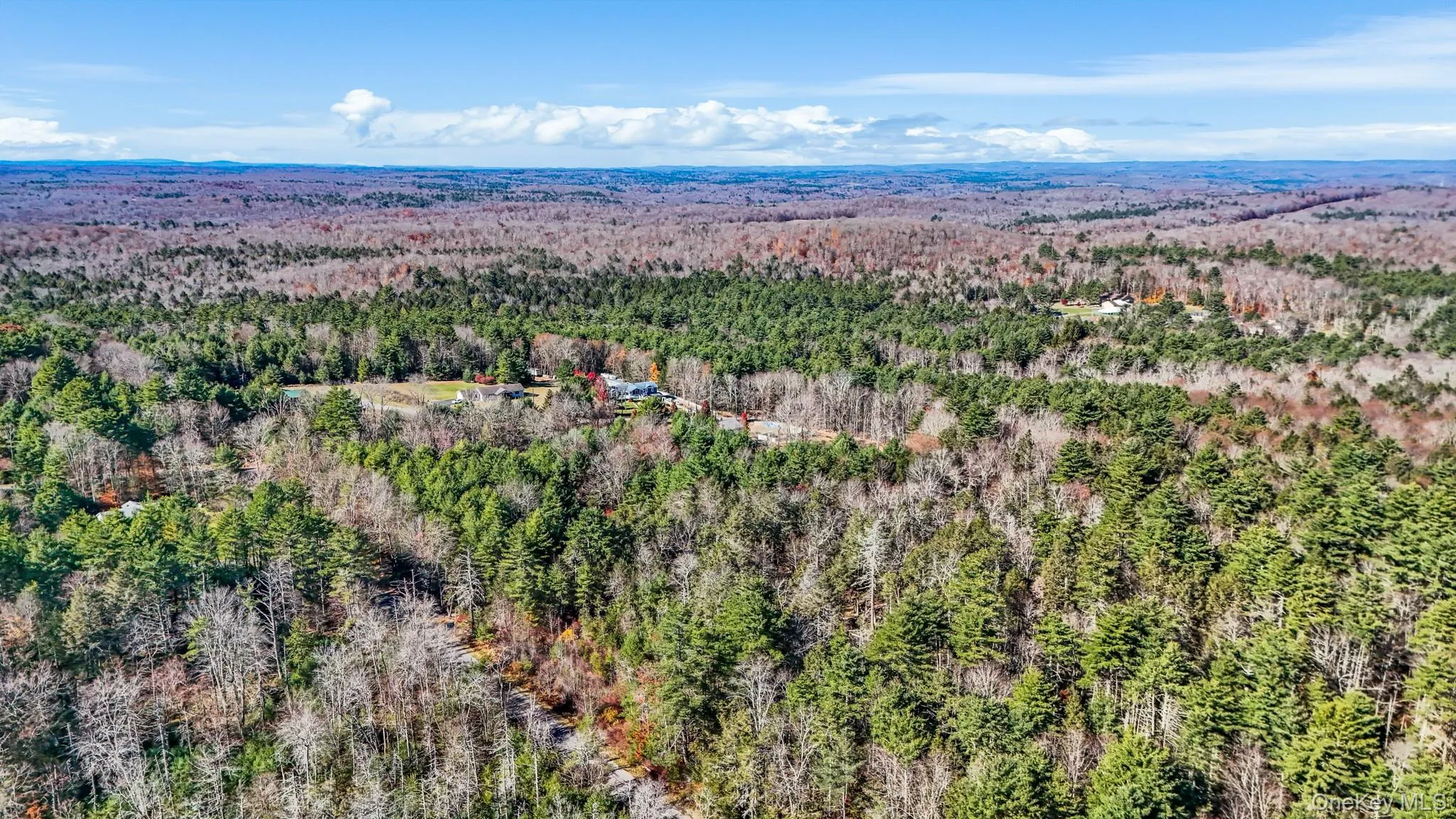 Bird's eye view featuring a view of trees Bird's eye view featuring a view of trees