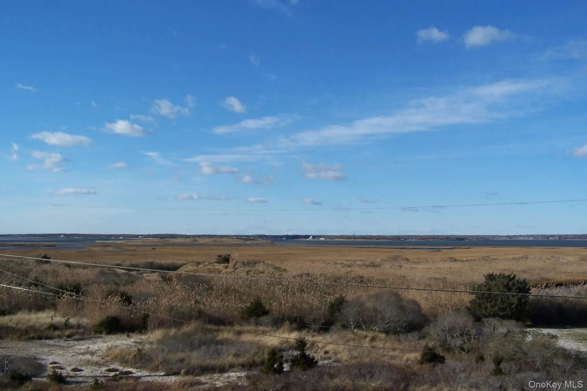 View of local wilderness with a rural view View of local wilderness with a rural view