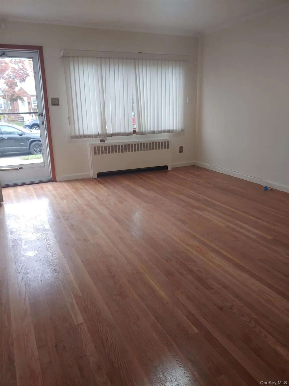 Empty room featuring radiator, light wood finished floors, and crown molding Empty room featuring radiator, light wood finished floors, and crown molding