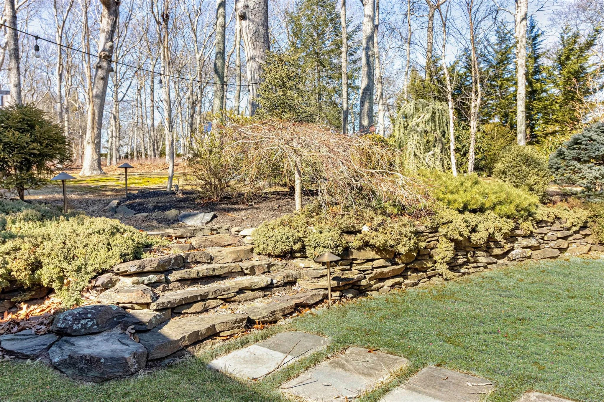 View of yard View of yard