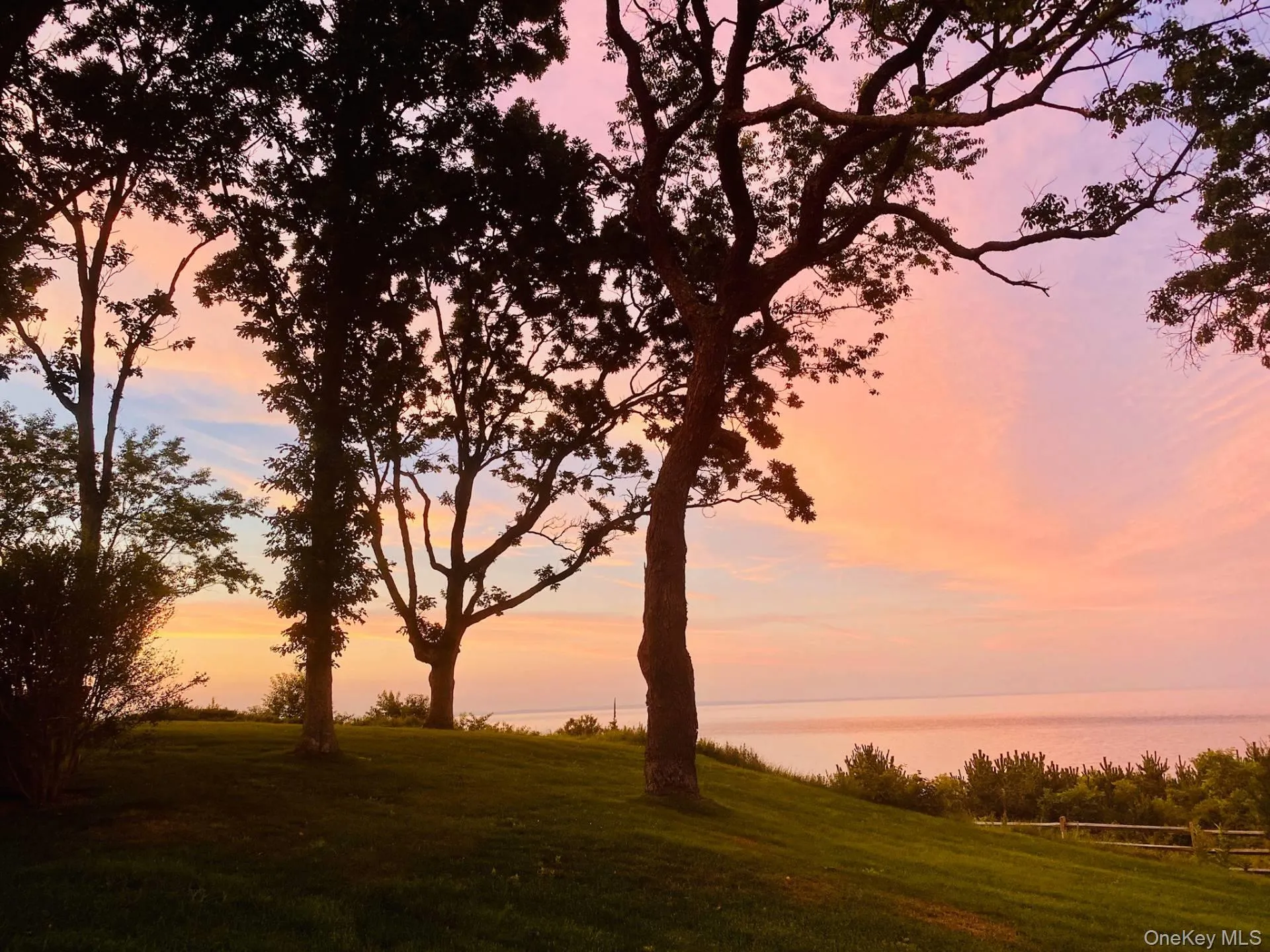 View of nature at dusk View of nature at dusk