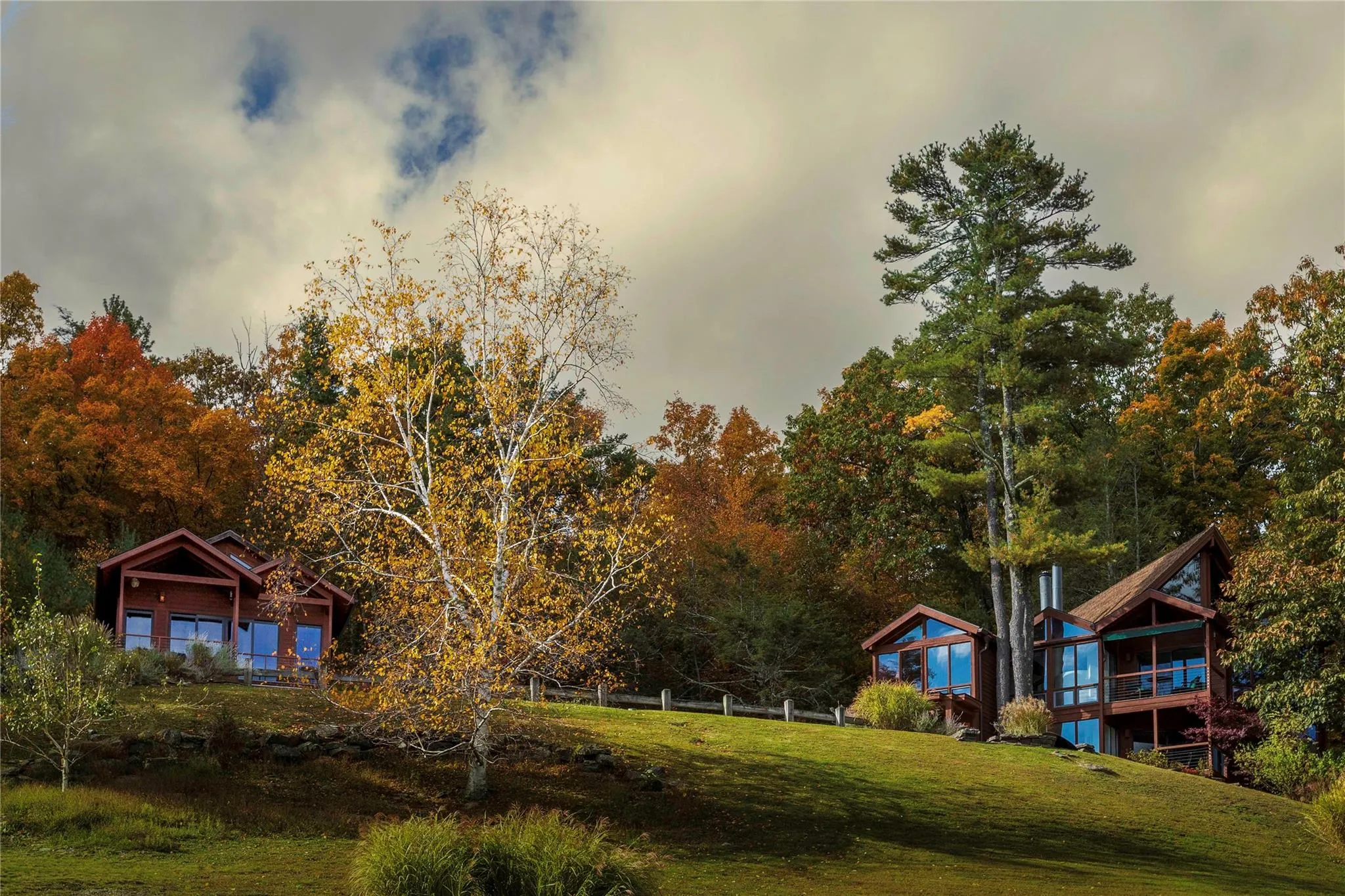 View of yard View of yard