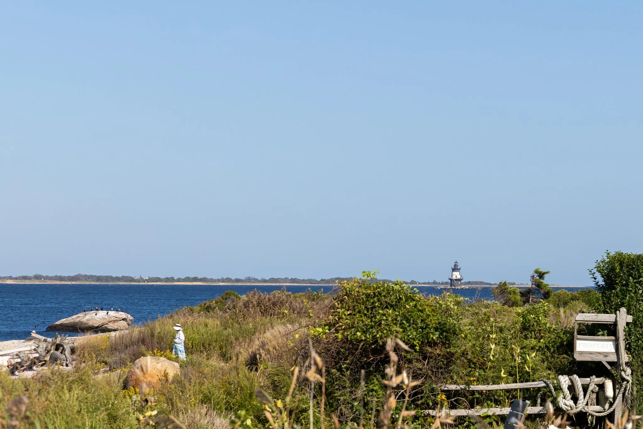 505 Plum Island Lane, Southold, NY, 4 Bedrooms Bedrooms, 7 Rooms Rooms,4 BathroomsBathrooms,Residential Lease,For Rent,Plum Island,0,831489 505 Plum Island Lane, Southold, NY, 4 Bedrooms Bedrooms, 7 Rooms Rooms,4 BathroomsBathrooms,Residential Lease,For Rent,Plum Island,0,831489