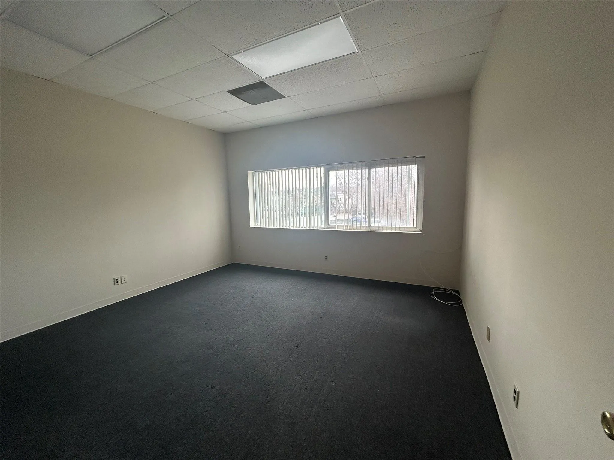 Spare room featuring baseboards, a drop ceiling, and carpet flooring Spare room featuring baseboards, a drop ceiling, and carpet flooring
