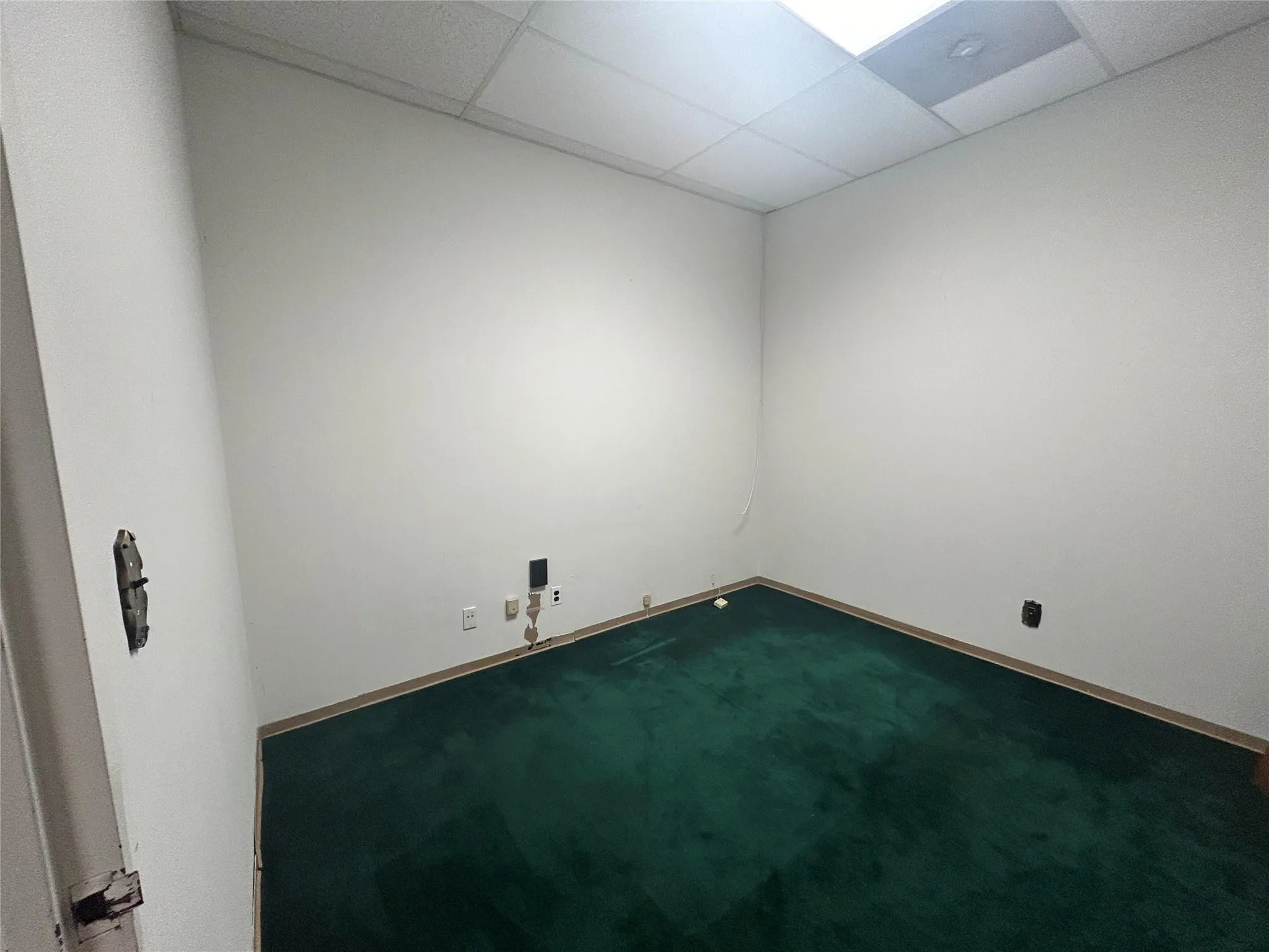 Spare room featuring dark colored carpet, a paneled ceiling, and baseboards Spare room featuring dark colored carpet, a paneled ceiling, and baseboards