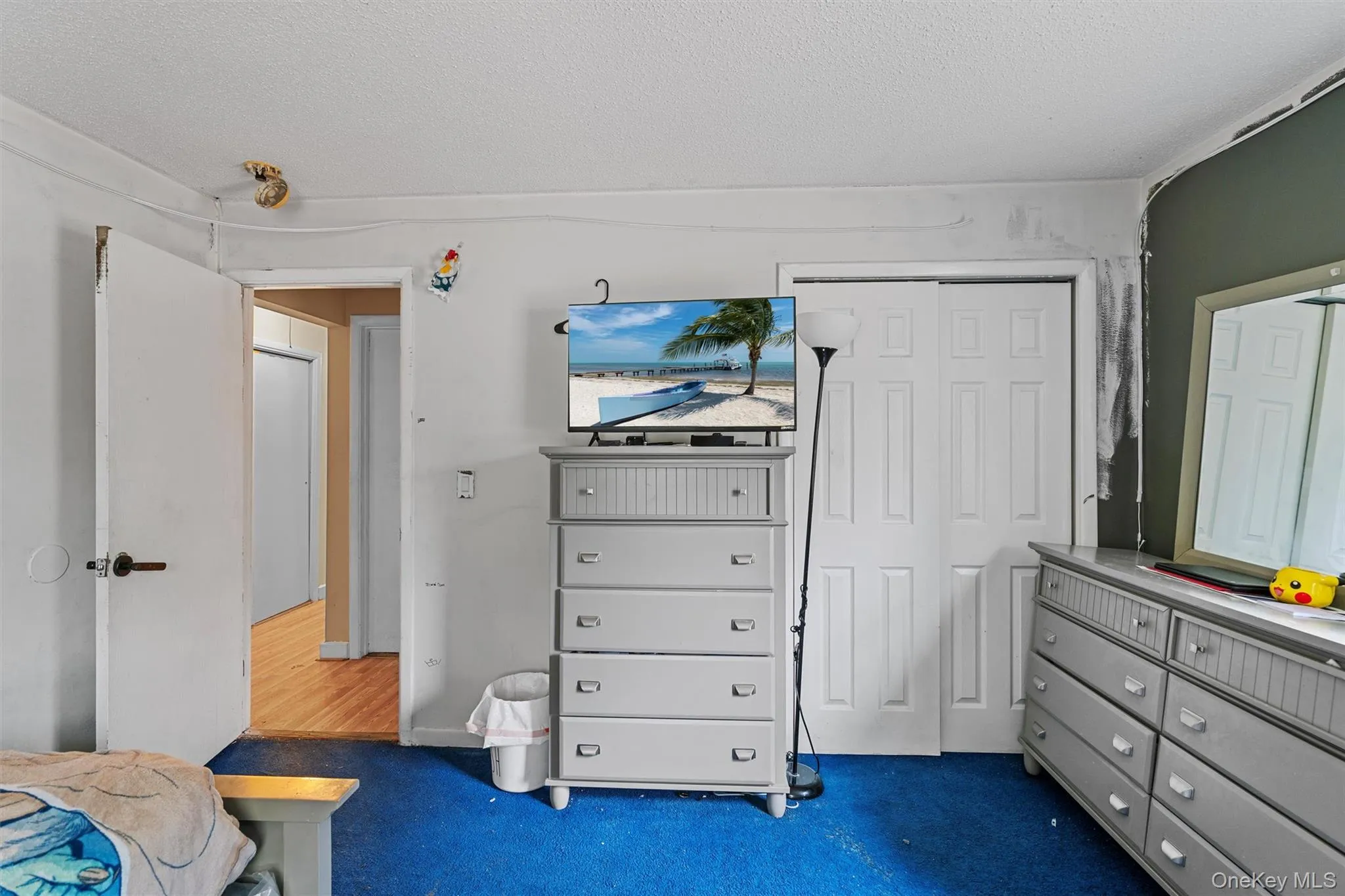 Carpeted bedroom with a closet and a textured ceiling Carpeted bedroom with a closet and a textured ceiling