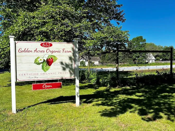 Organic Farm around the corrner Organic Farm around the corrner