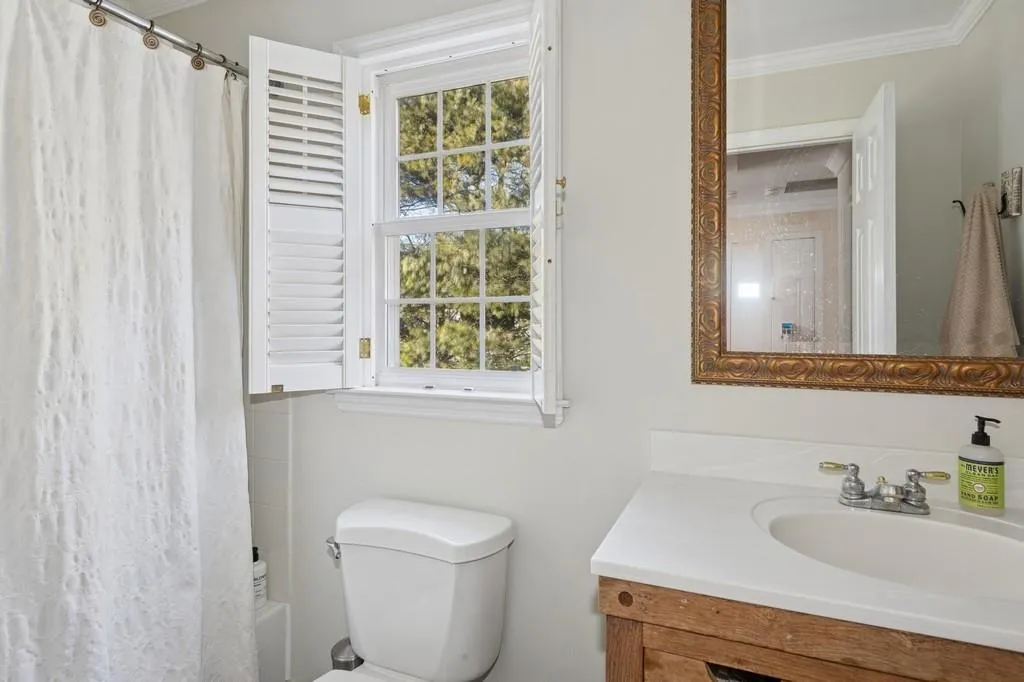 Bathroom featuring toilet, ornamental molding, and vanity Bathroom featuring toilet, ornamental molding, and vanity